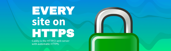 Caddy reverse proxy server logo saying "Every site on HTTPS"