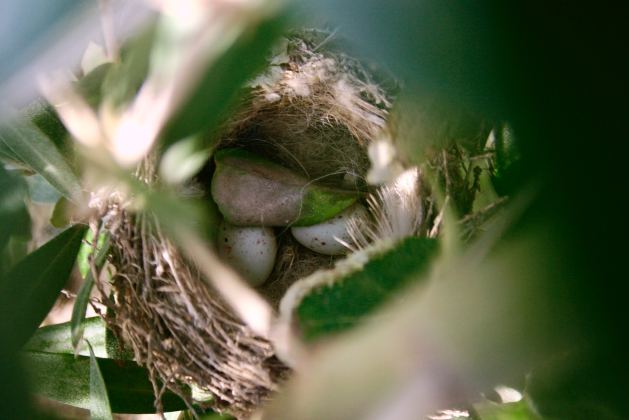 Landscape Image 15 of 78 from Photo Gallery. Alberto Roura