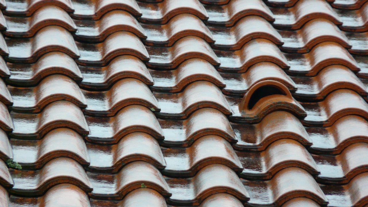 Landscape Image 2 of 78 from Photo Gallery. Alberto Roura