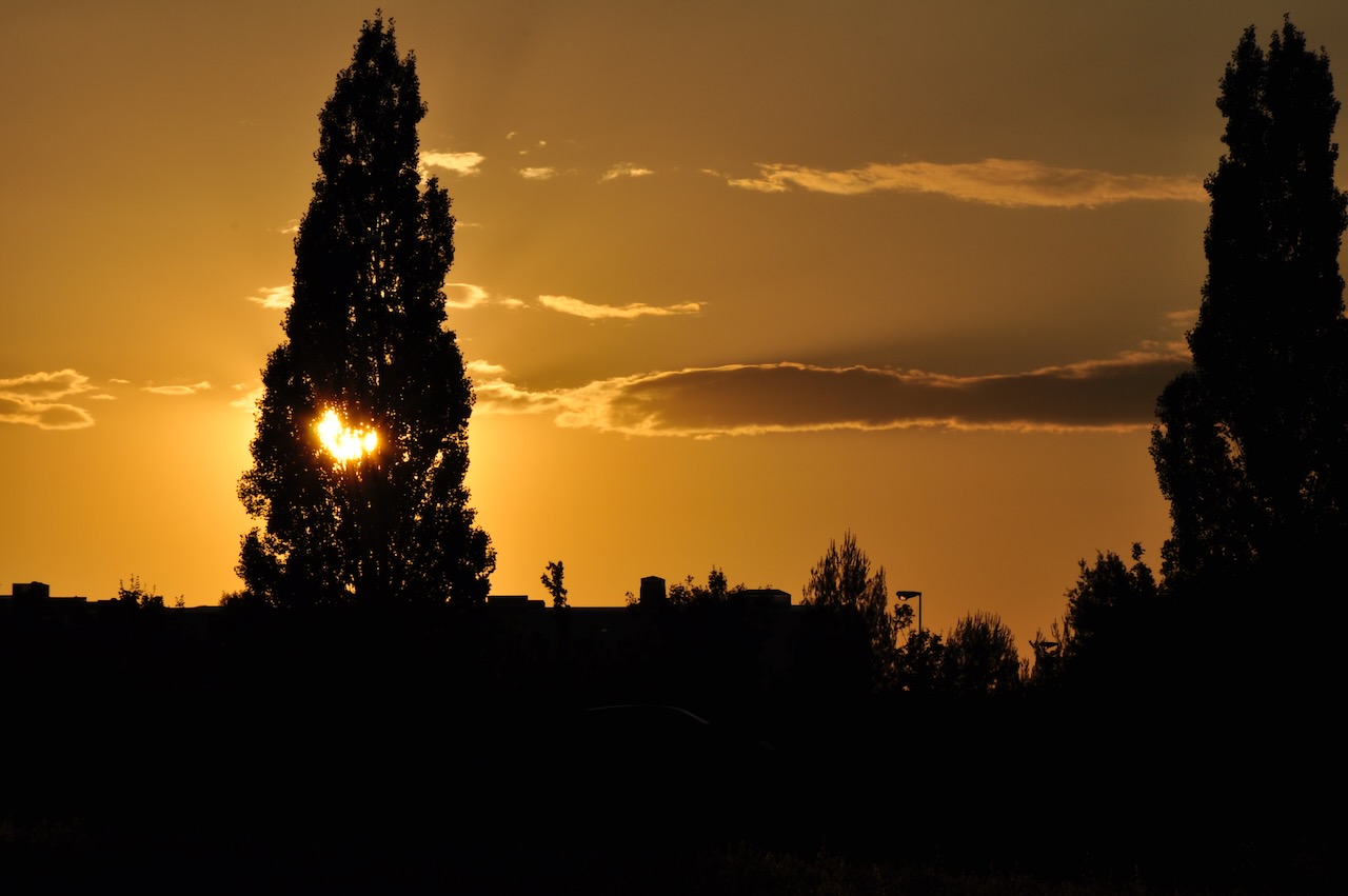 Landscape Image 21 of 78 from Photo Gallery. Alberto Roura