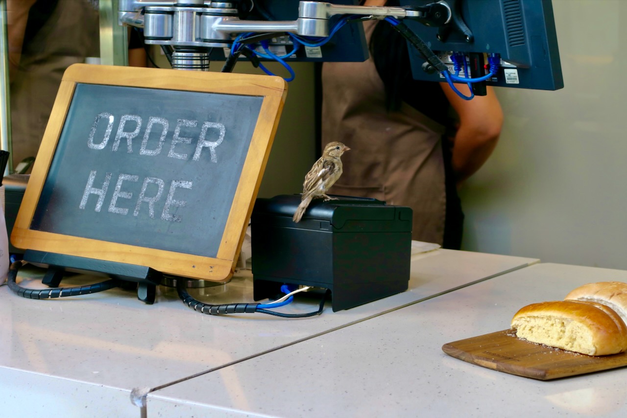 Landscape Image 41 of 78 from Photo Gallery. Alberto Roura