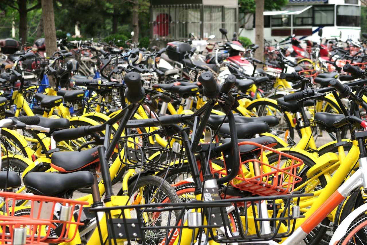 Landscape Image 58 of 78 from Photo Gallery. Alberto Roura