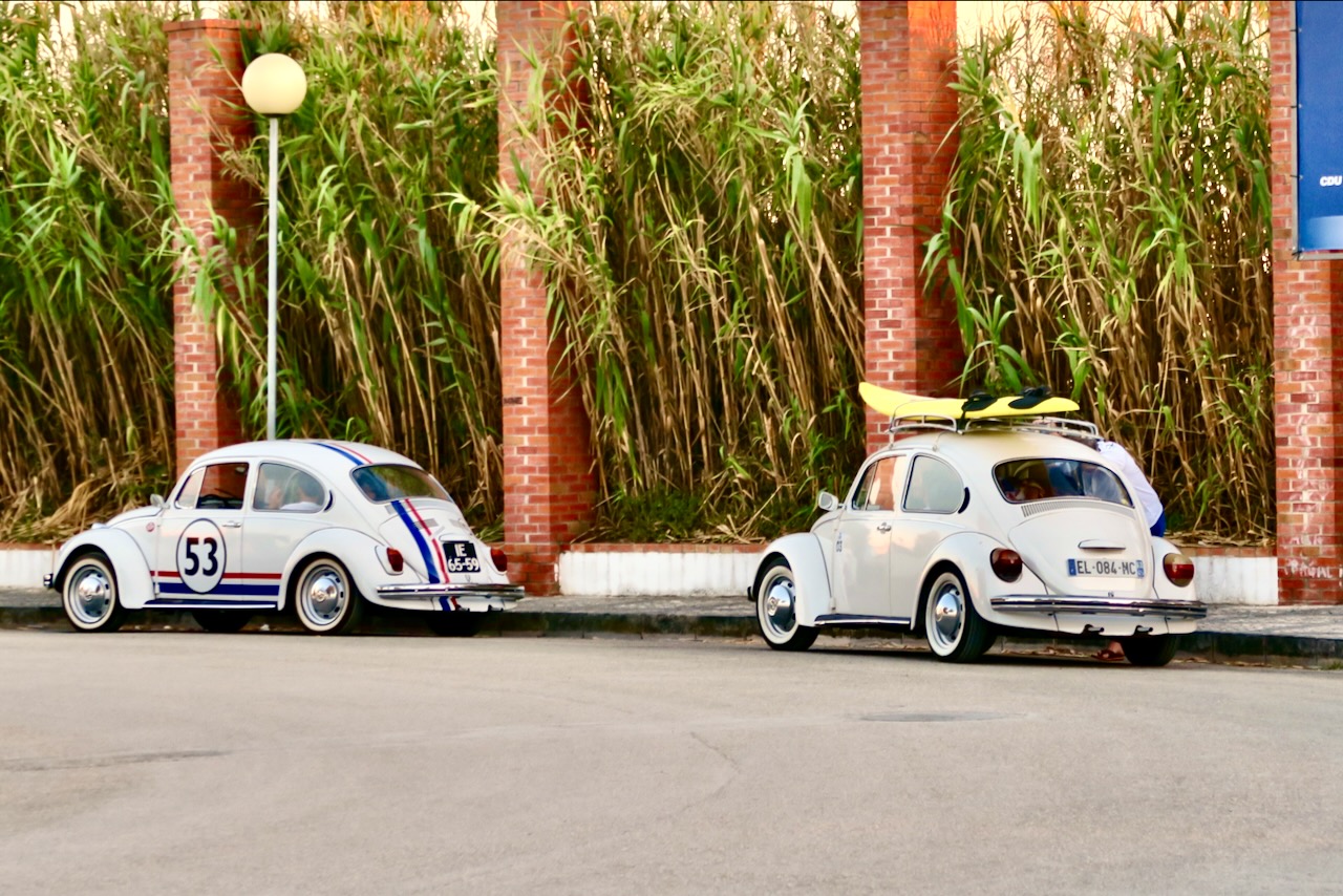 Landscape Image 63 of 78 from Photo Gallery. Alberto Roura