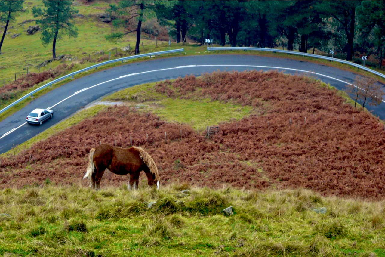 Landscape Image 7 of 78 from Photo Gallery. Alberto Roura