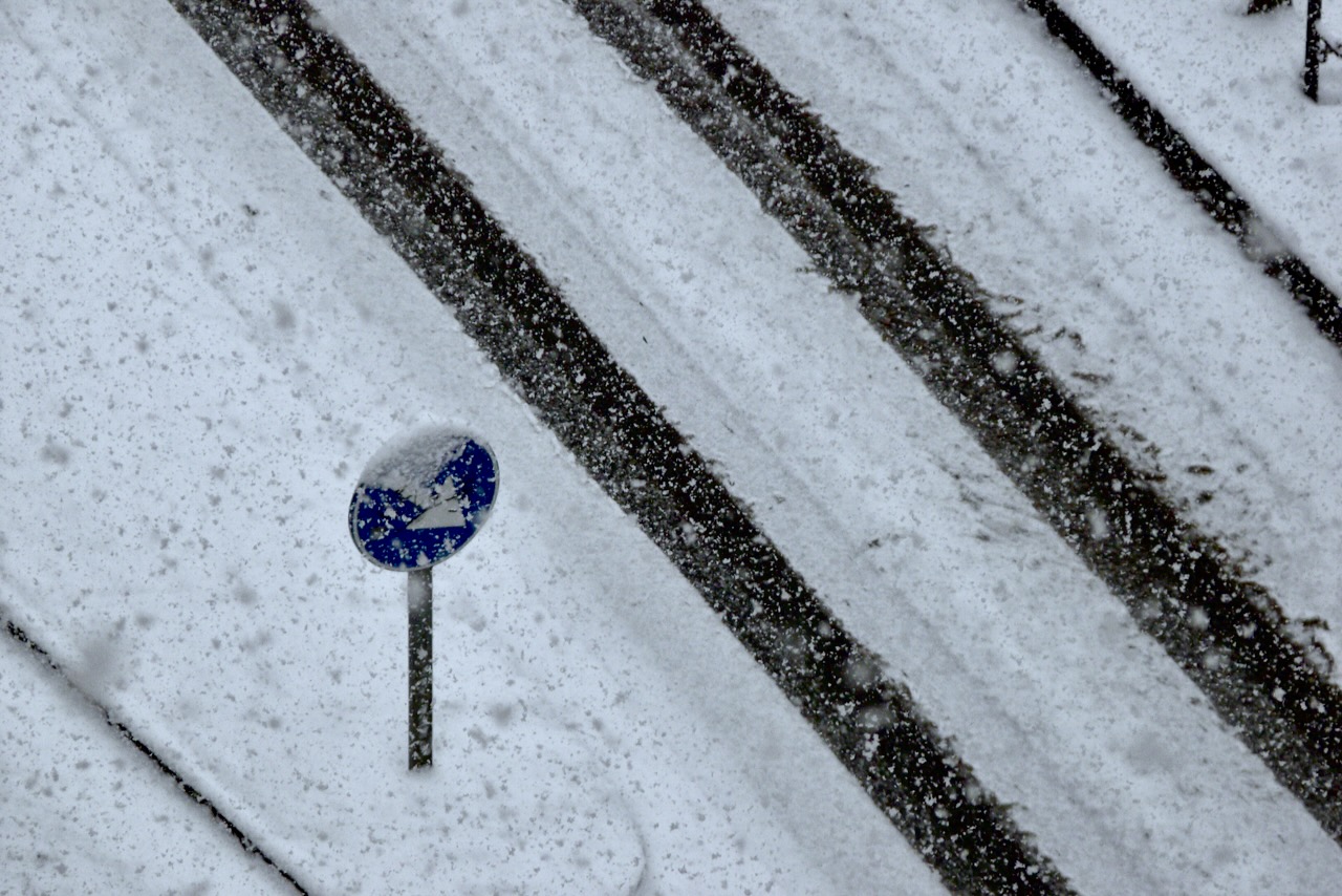 Landscape Image 8 of 78 from Photo Gallery. Alberto Roura