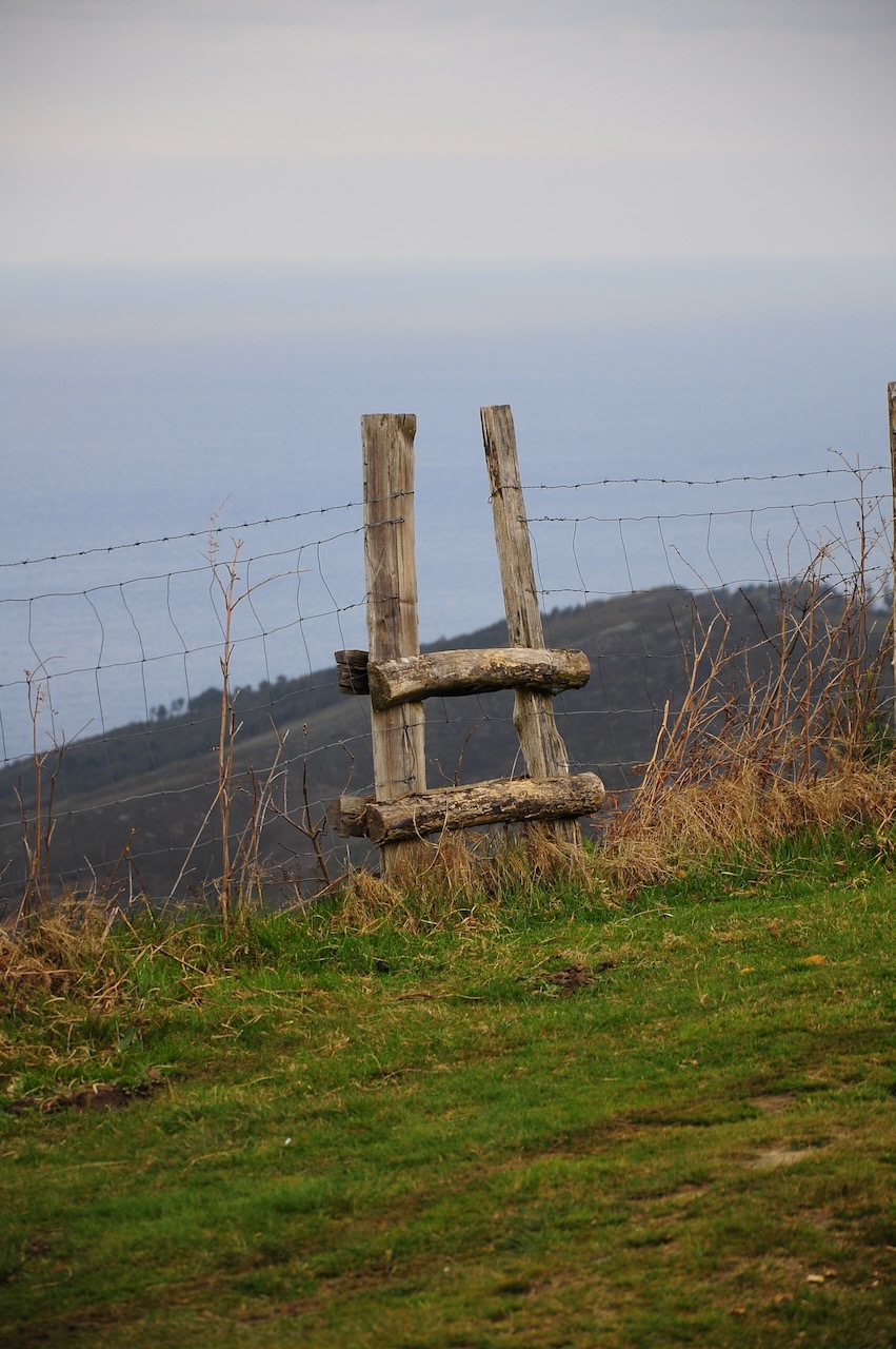 Portrait Image 10 of 78 from Photo Gallery. Alberto Roura