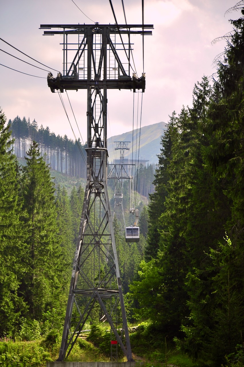 Portrait Image 12 of 78 from Photo Gallery. Alberto Roura