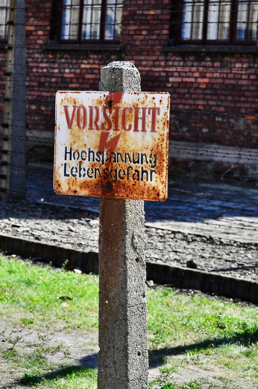 Portrait Image 13 of 78 from Photo Gallery. Alberto Roura