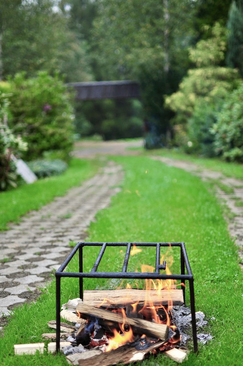 Portrait Image 14 of 78 from Photo Gallery. Alberto Roura