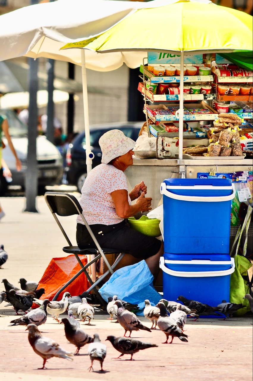 Portrait Image 17 of 78 from Photo Gallery. Alberto Roura