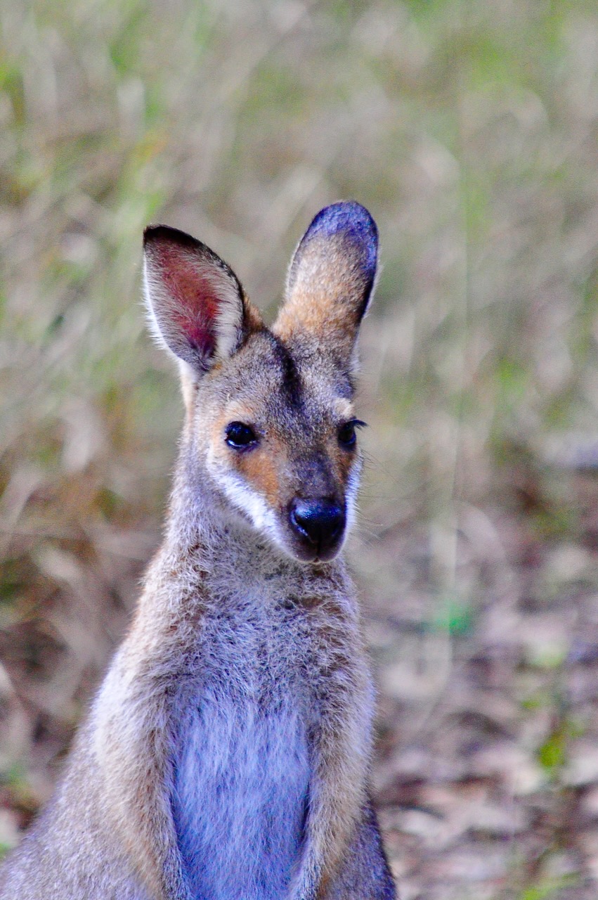 Portrait Image 19 of 78 from Photo Gallery. Alberto Roura