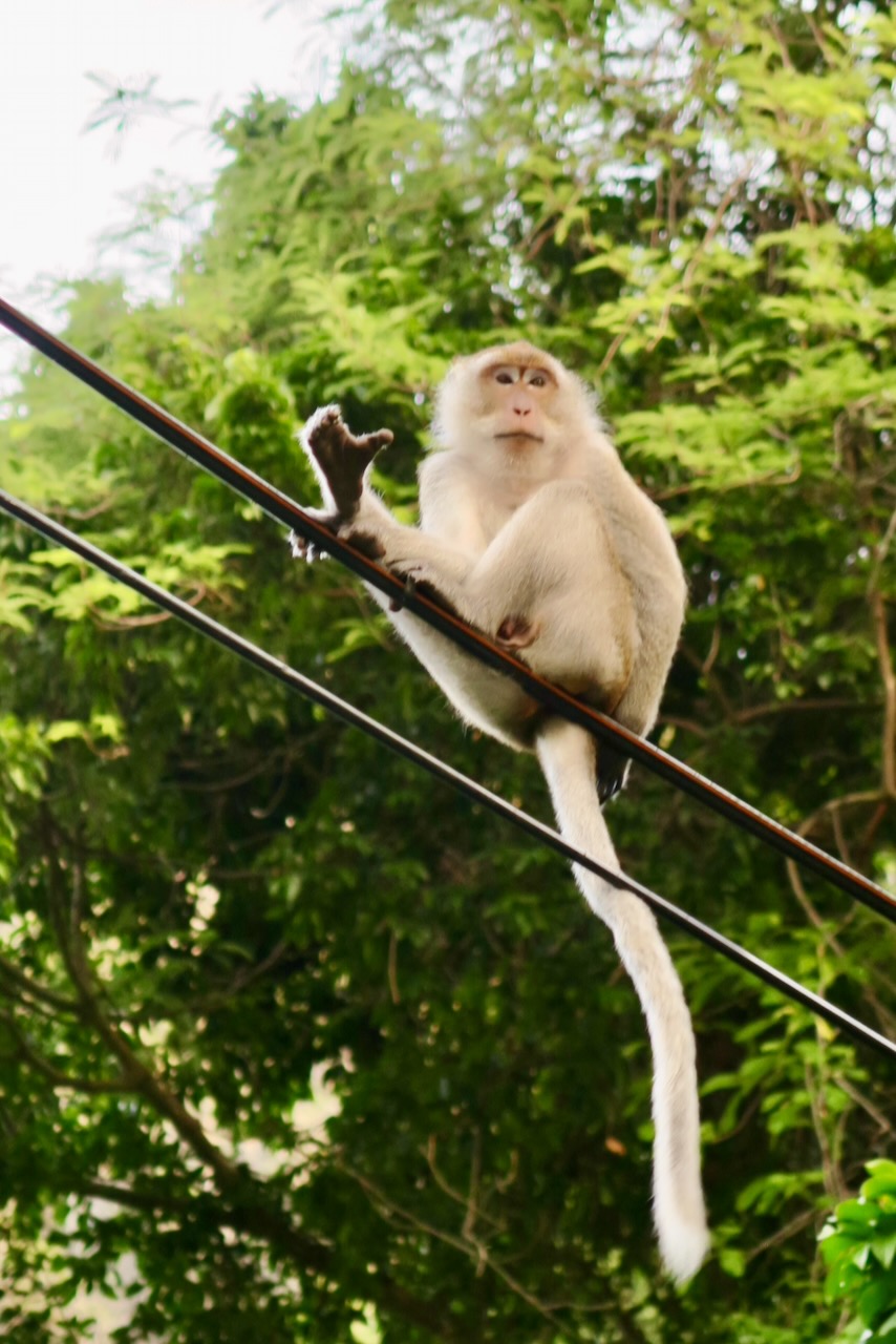 Portrait Image 24 of 78 from Photo Gallery. Alberto Roura