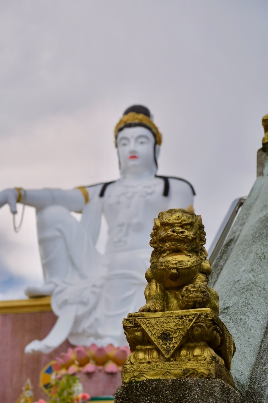 Portrait Image 26 of 78 from Photo Gallery. Alberto Roura