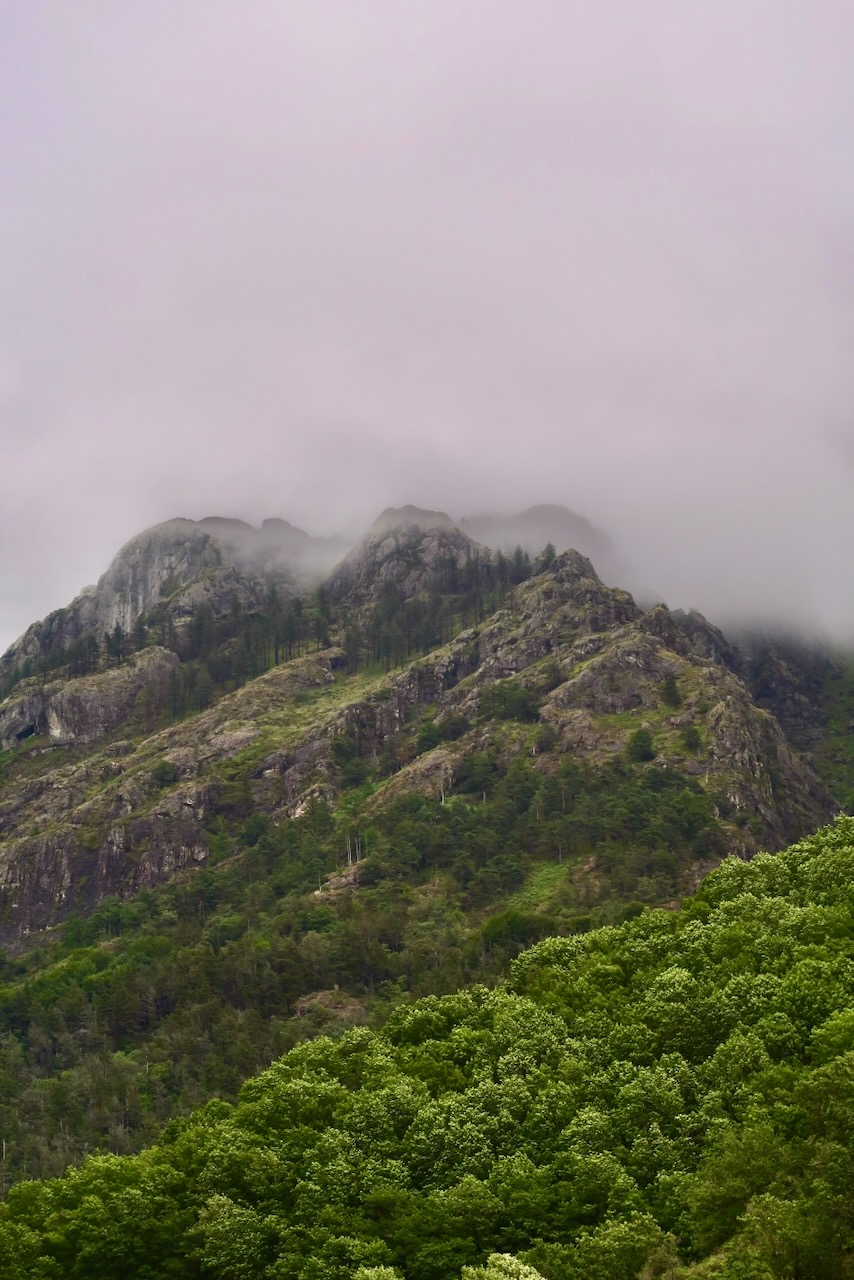 Portrait Image 28 of 78 from Photo Gallery. Alberto Roura