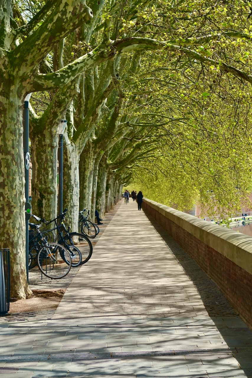 Portrait Image 33 of 78 from Photo Gallery. Alberto Roura