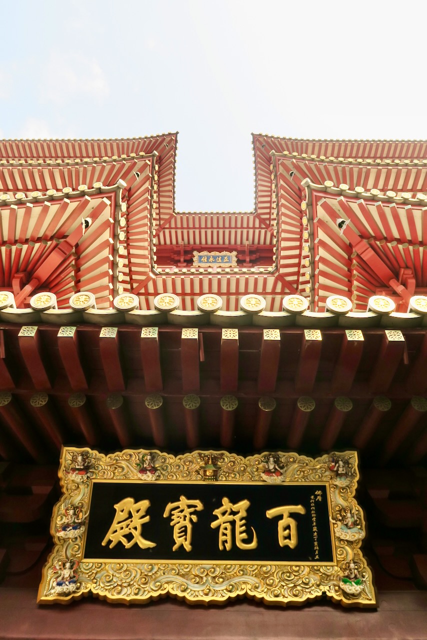 Portrait Image 37 of 78 from Photo Gallery. Alberto Roura