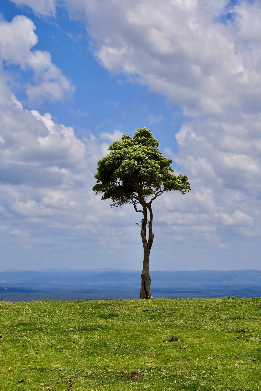 Portrait Image 39 of 78 from Photo Gallery. Alberto Roura