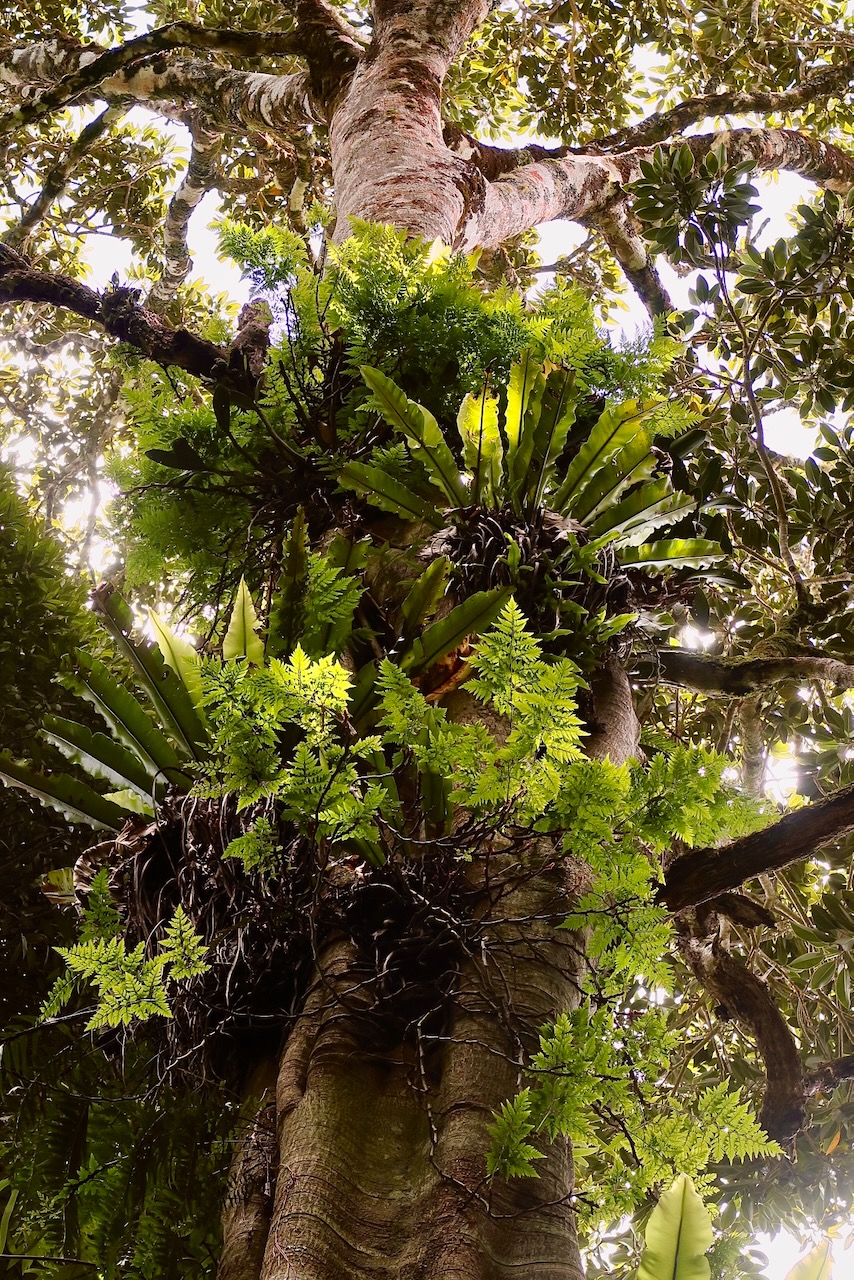 Portrait Image 40 of 78 from Photo Gallery. Alberto Roura