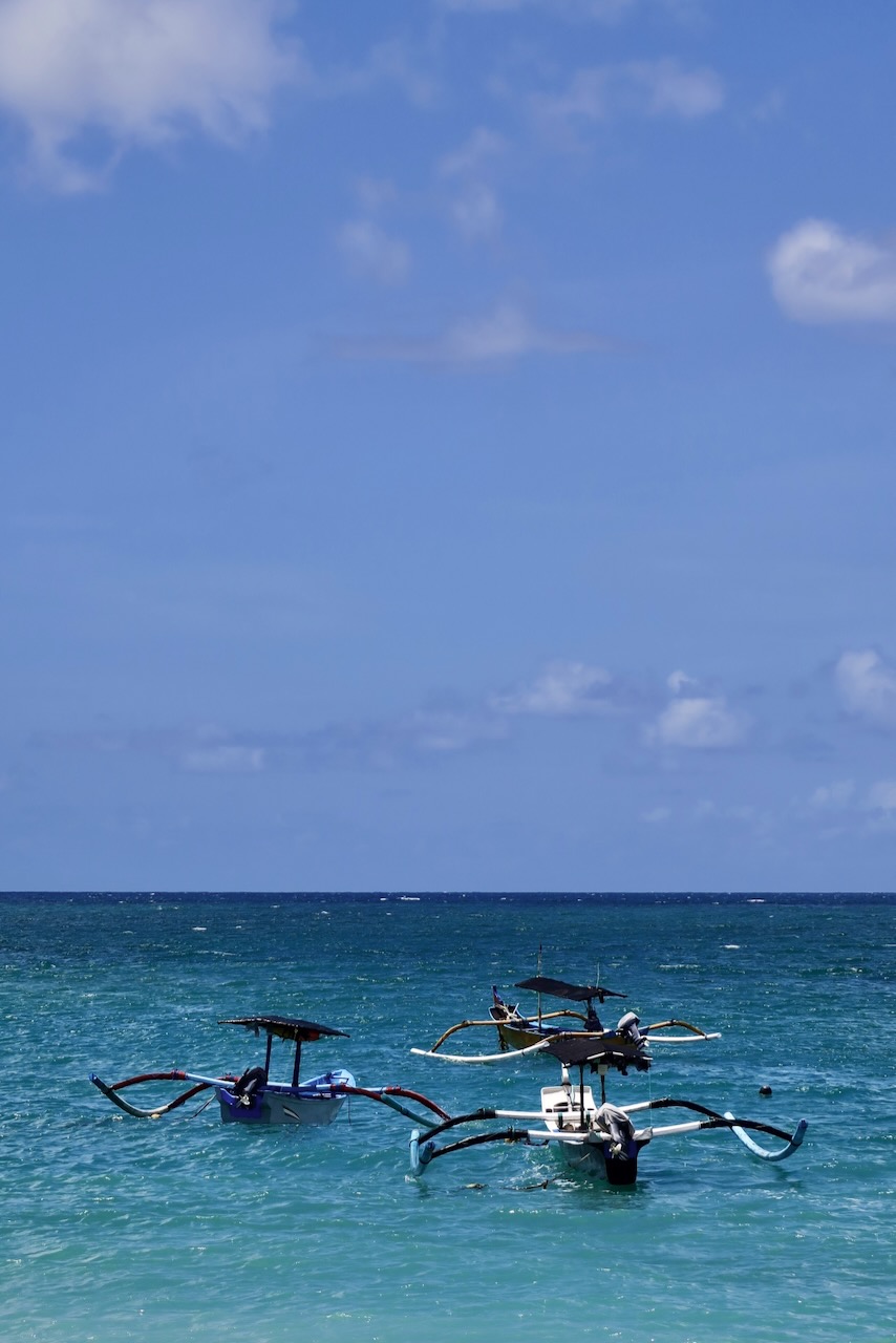 Portrait Image 43 of 78 from Photo Gallery. Alberto Roura