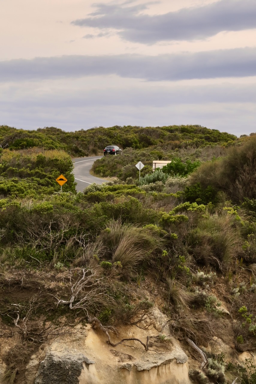 Portrait Image 46 of 78 from Photo Gallery. Alberto Roura