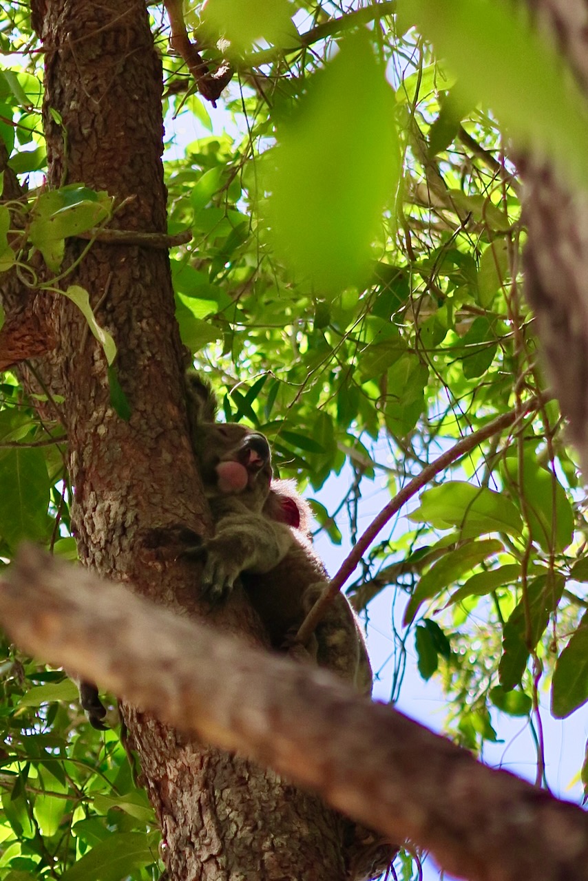 Portrait Image 53 of 78 from Photo Gallery. Alberto Roura