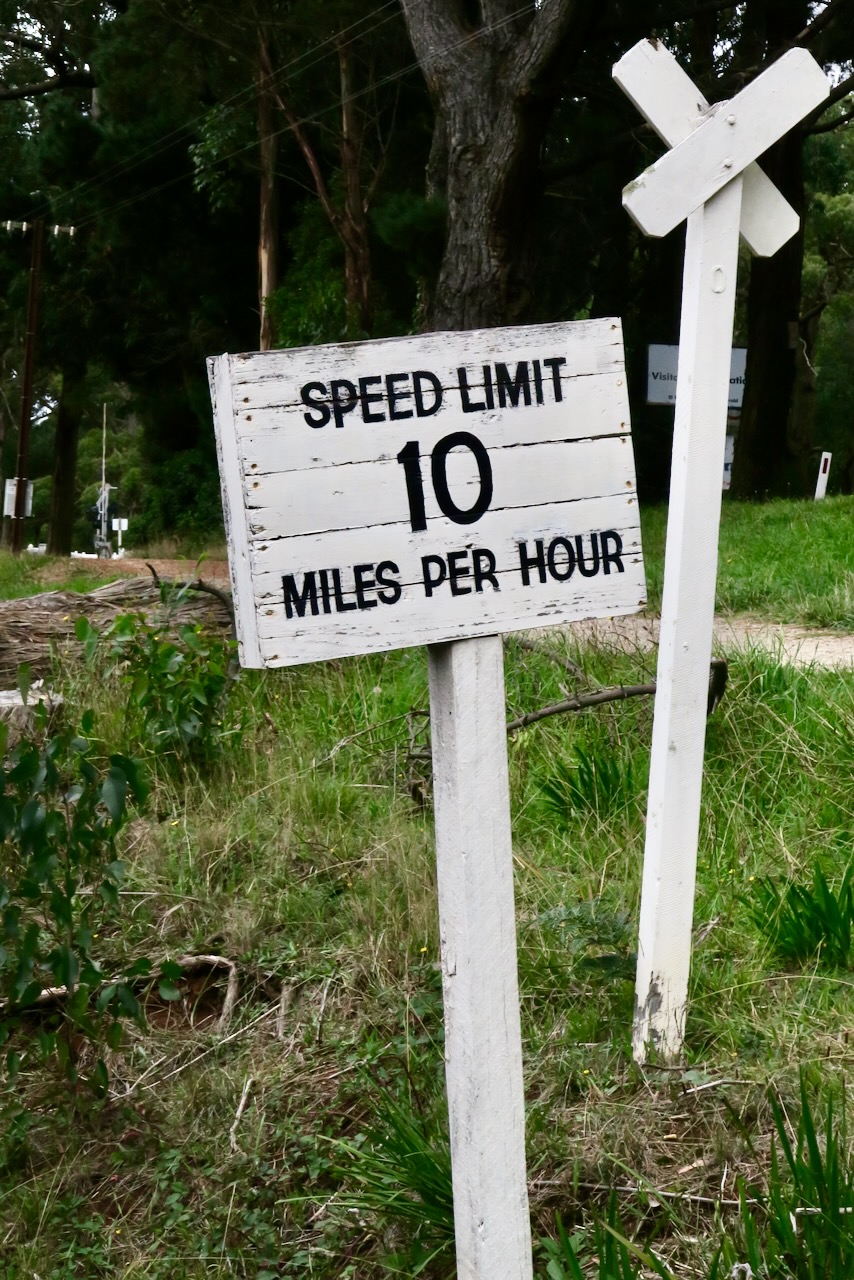 Portrait Image 54 of 78 from Photo Gallery. Alberto Roura