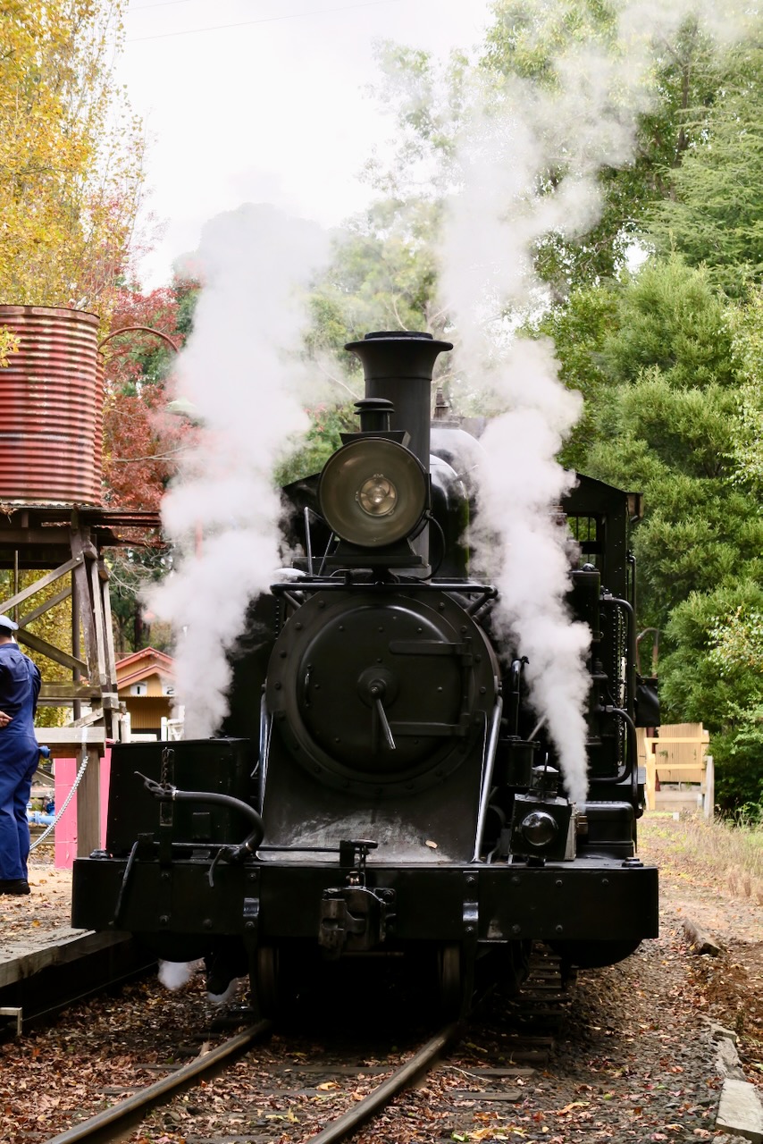 Portrait Image 55 of 78 from Photo Gallery. Alberto Roura