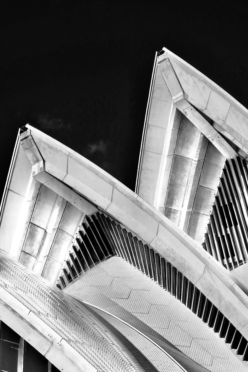 Portrait Image 61 of 78 from Photo Gallery. Alberto Roura