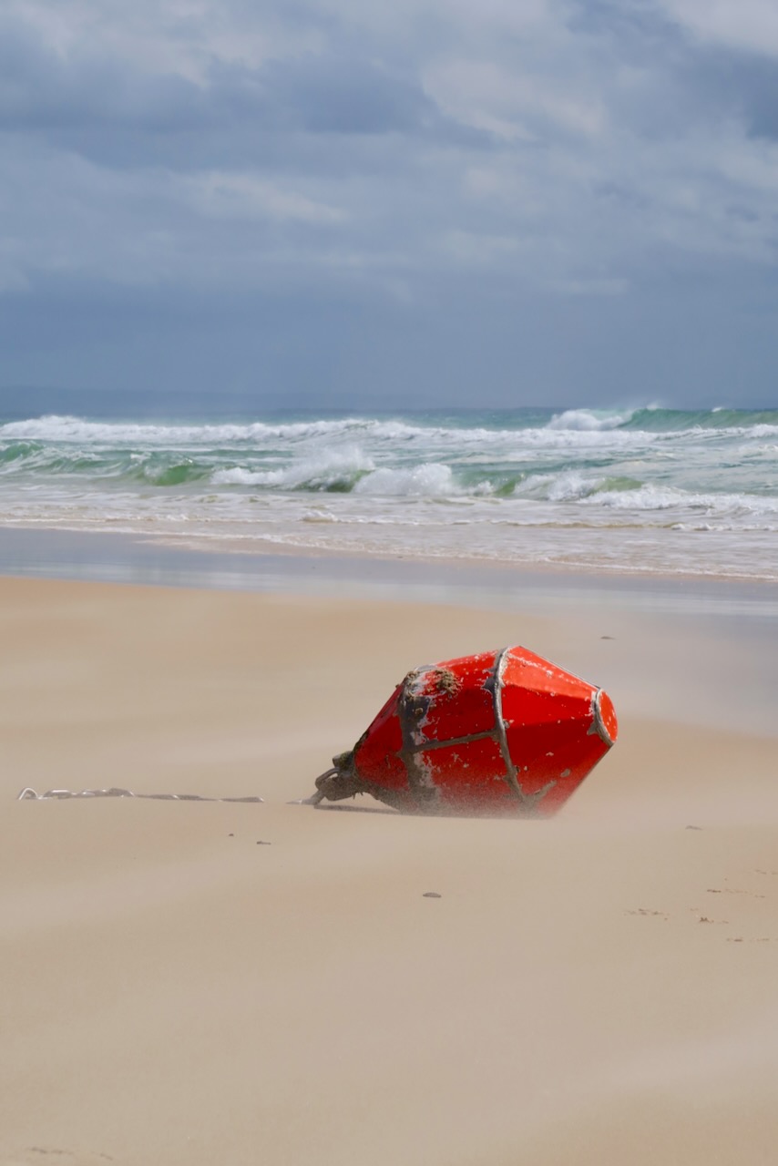 Portrait Image 68 of 78 from Photo Gallery. Alberto Roura