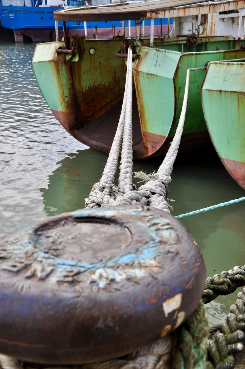 Portrait Image 7 of 78 from Photo Gallery. Alberto Roura