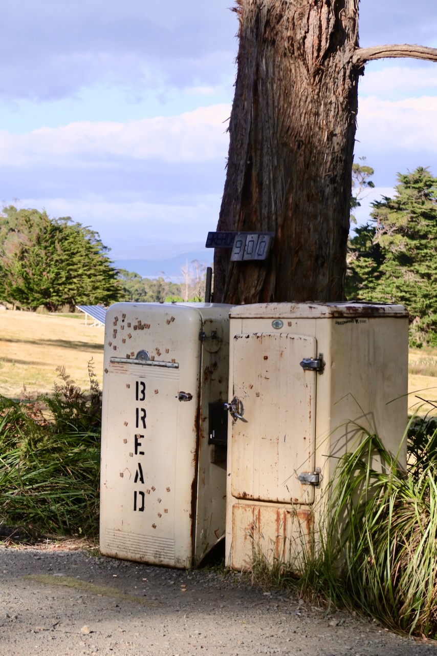 Portrait Image 74 of 78 from Photo Gallery. Alberto Roura