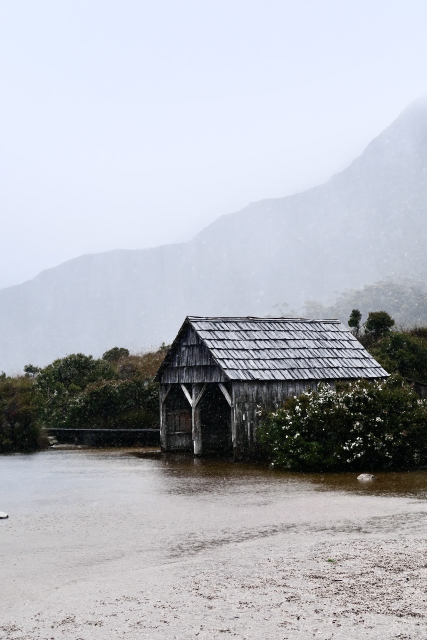 Portrait Image 76 of 78 from Photo Gallery. Alberto Roura