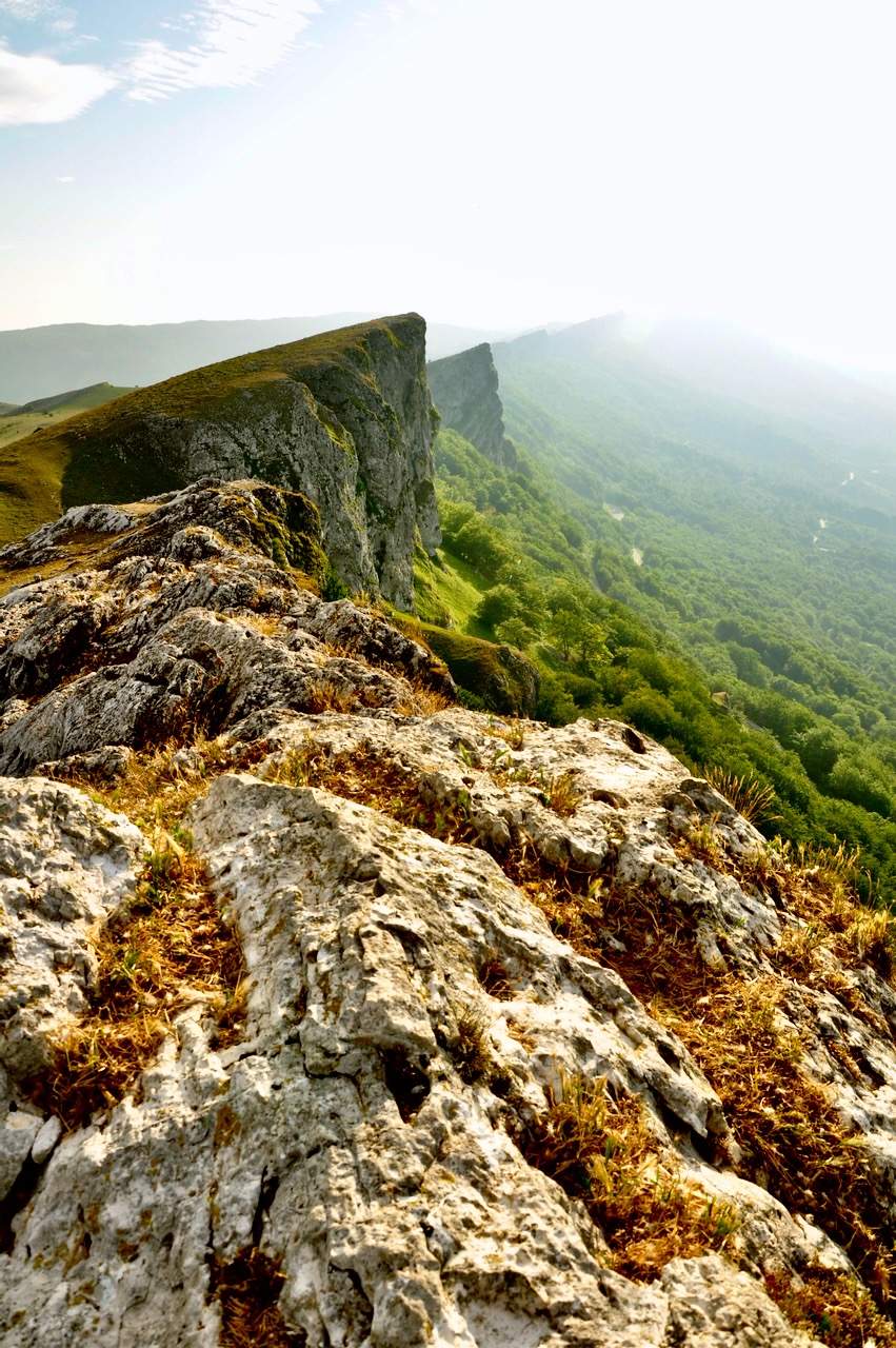 Portrait Image 8 of 78 from Photo Gallery. Alberto Roura