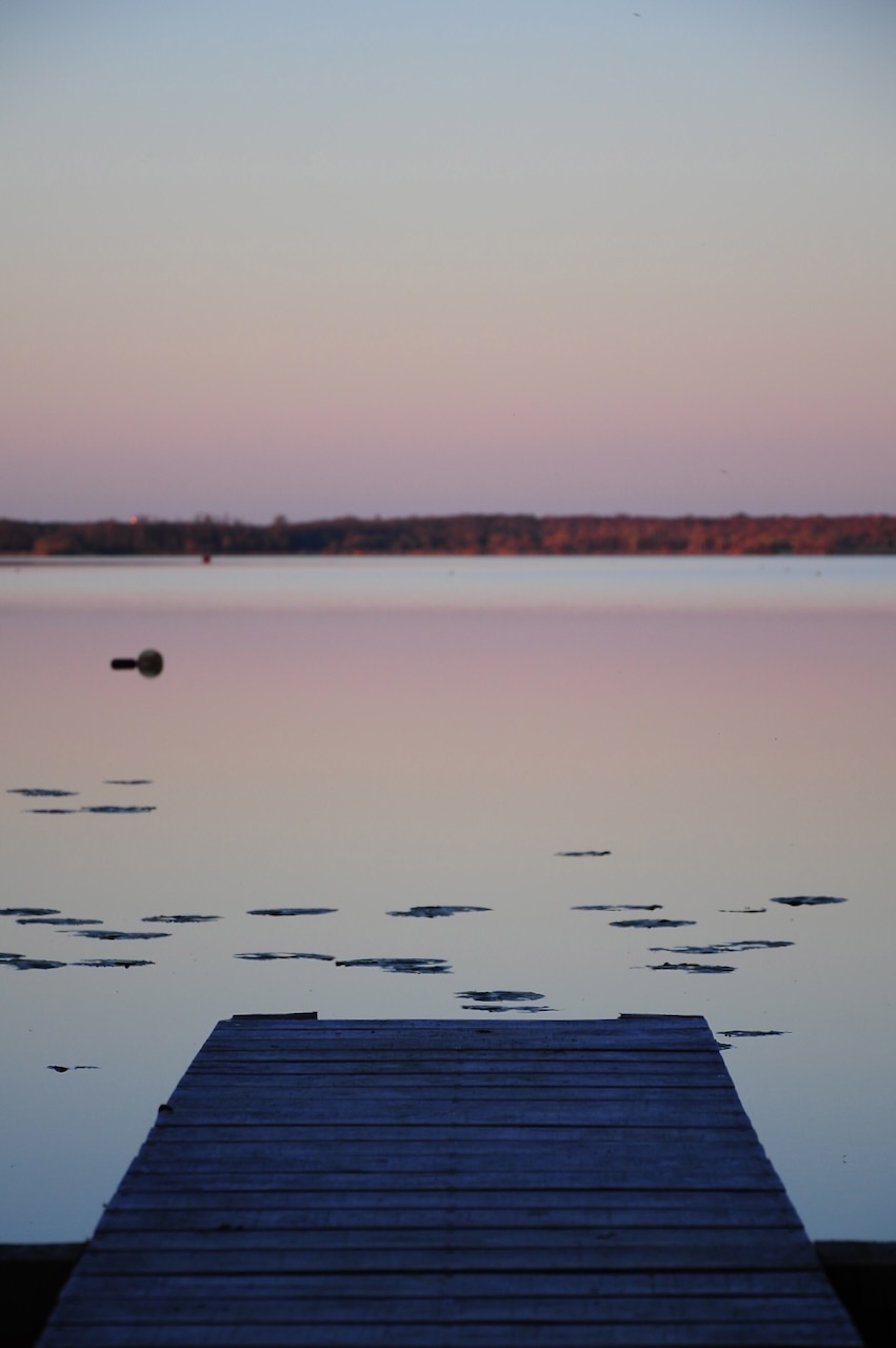 Portrait Image 9 of 78 from Photo Gallery. Alberto Roura