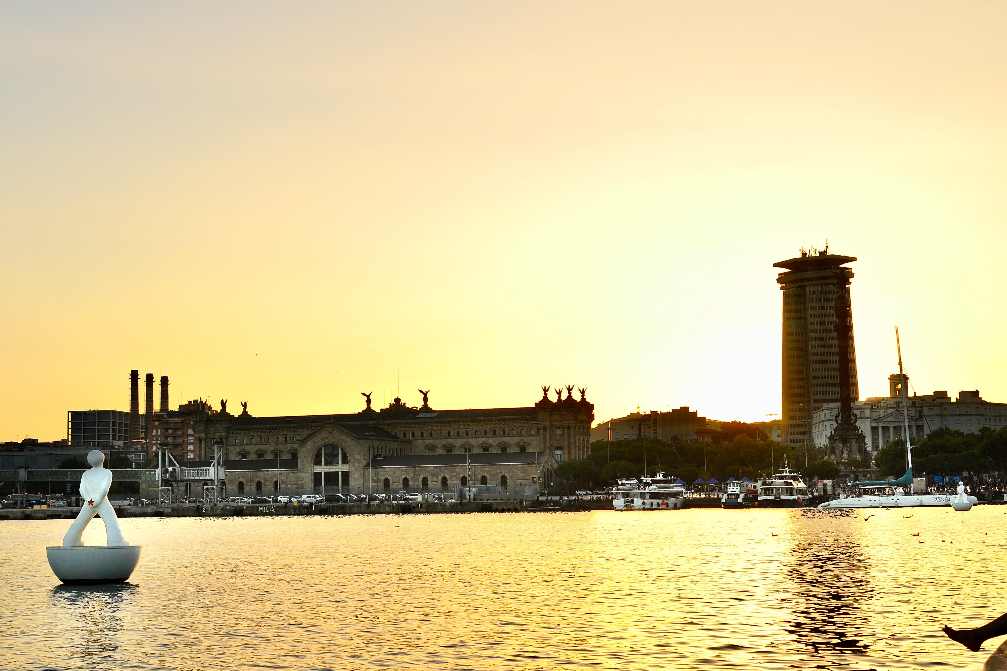 Landscape Image 6 of 12 from Barcelona 2013. Alberto Roura