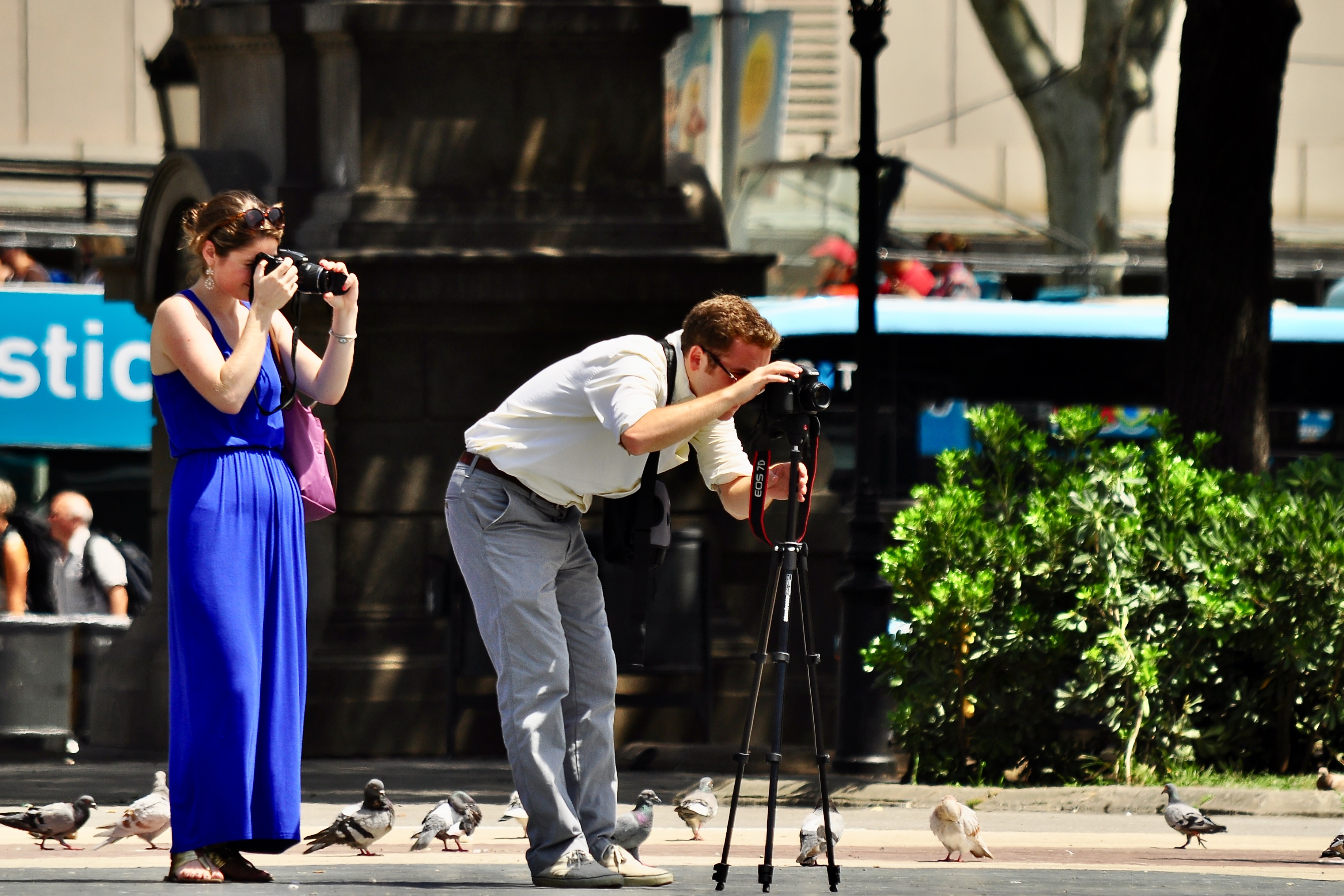 Landscape Image 8 of 12 from Barcelona 2013. Alberto Roura