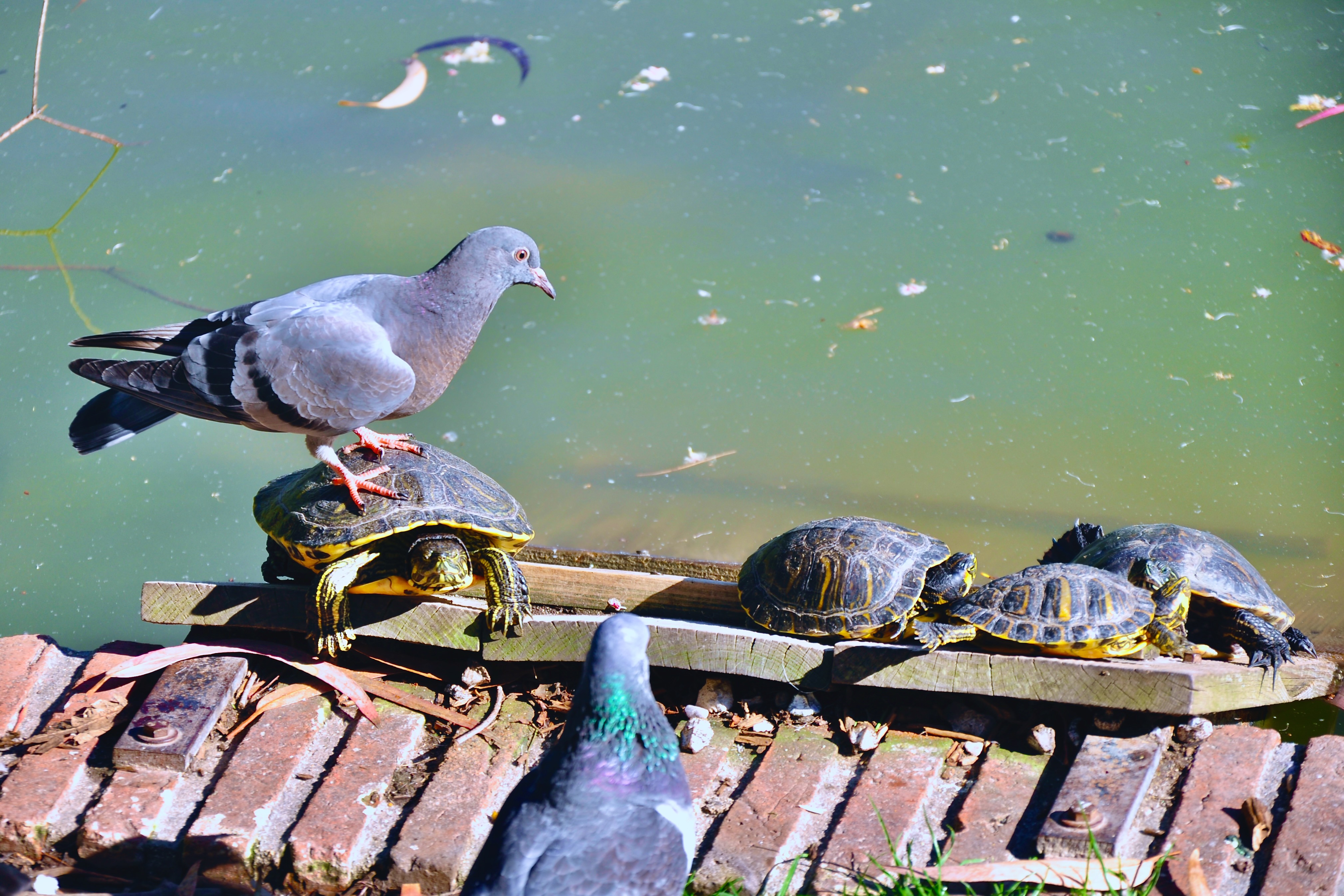 Landscape Image 8 of 9 from Madrid 2011. Alberto Roura