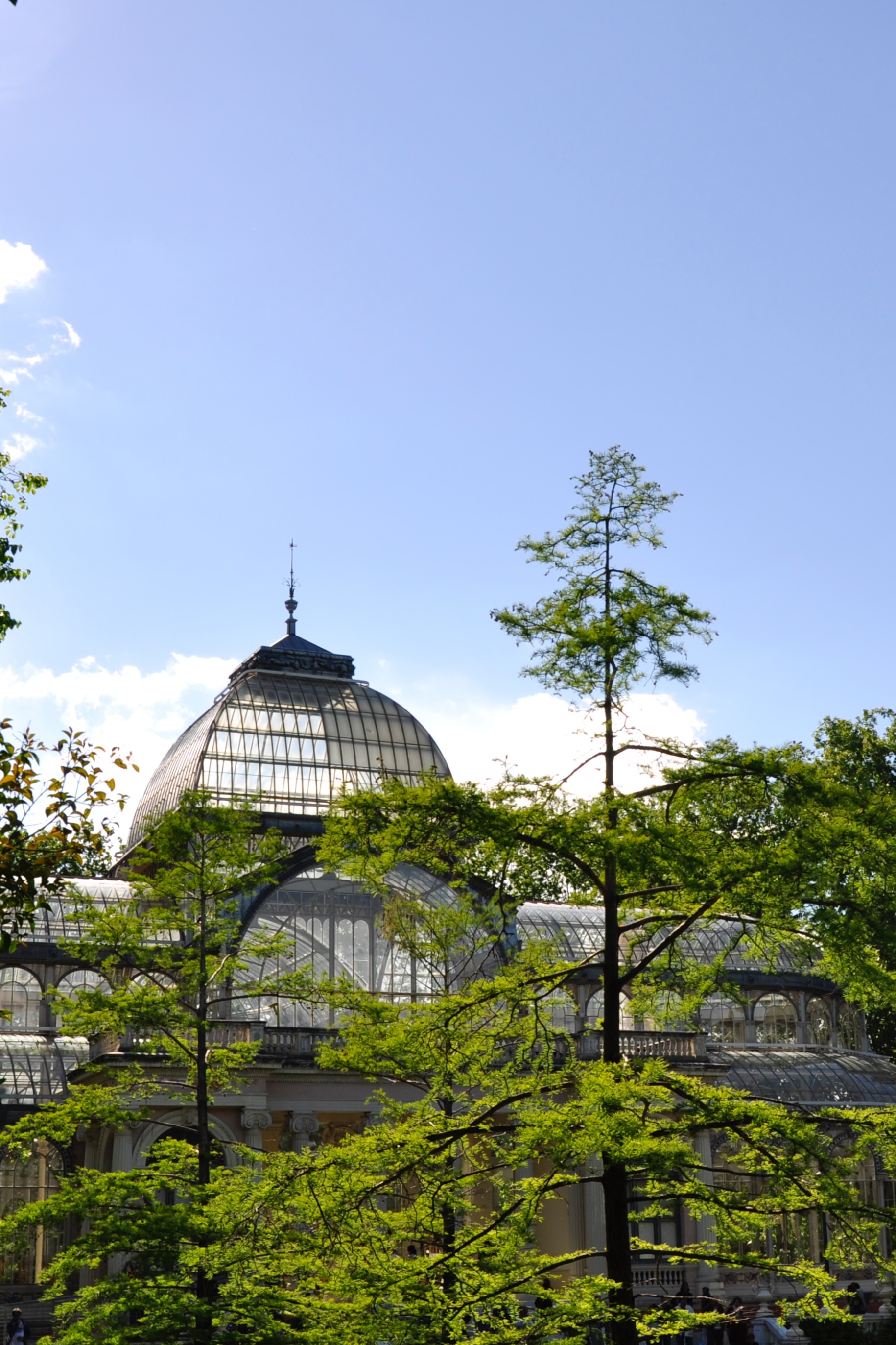 Portrait Image 7 of 9 from Madrid 2011. Alberto Roura