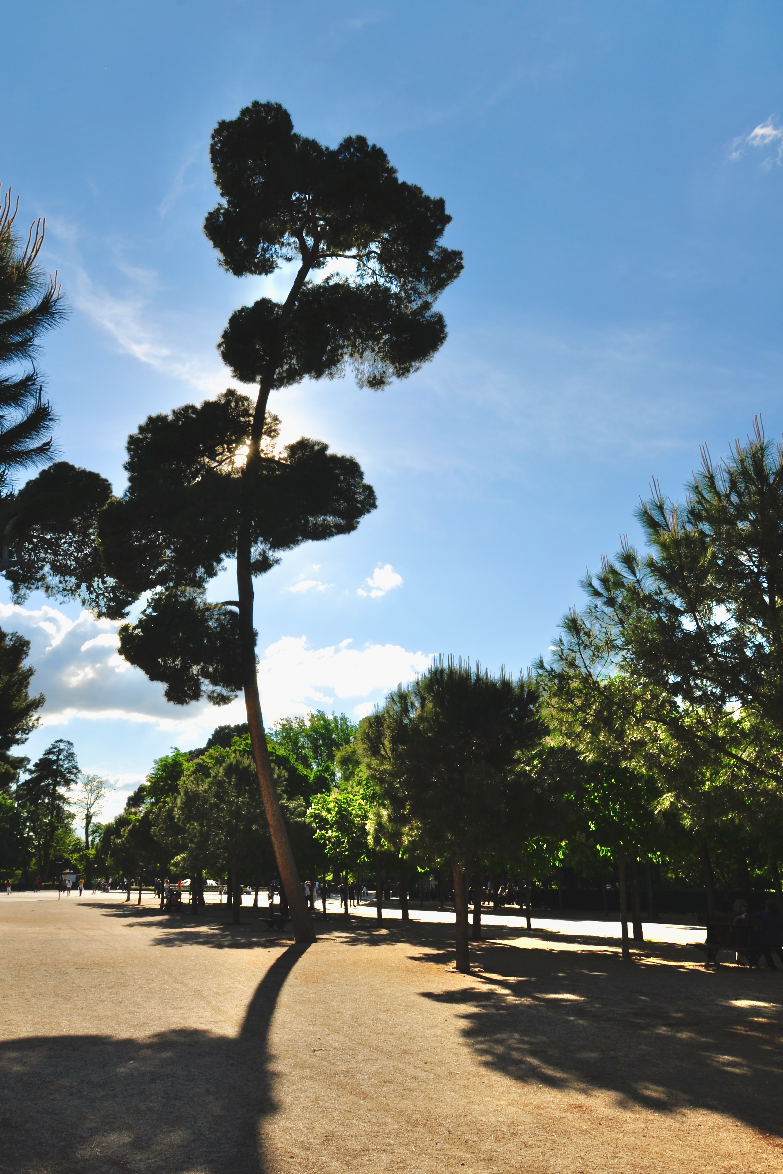 Portrait Image 8 of 9 from Madrid 2011. Alberto Roura