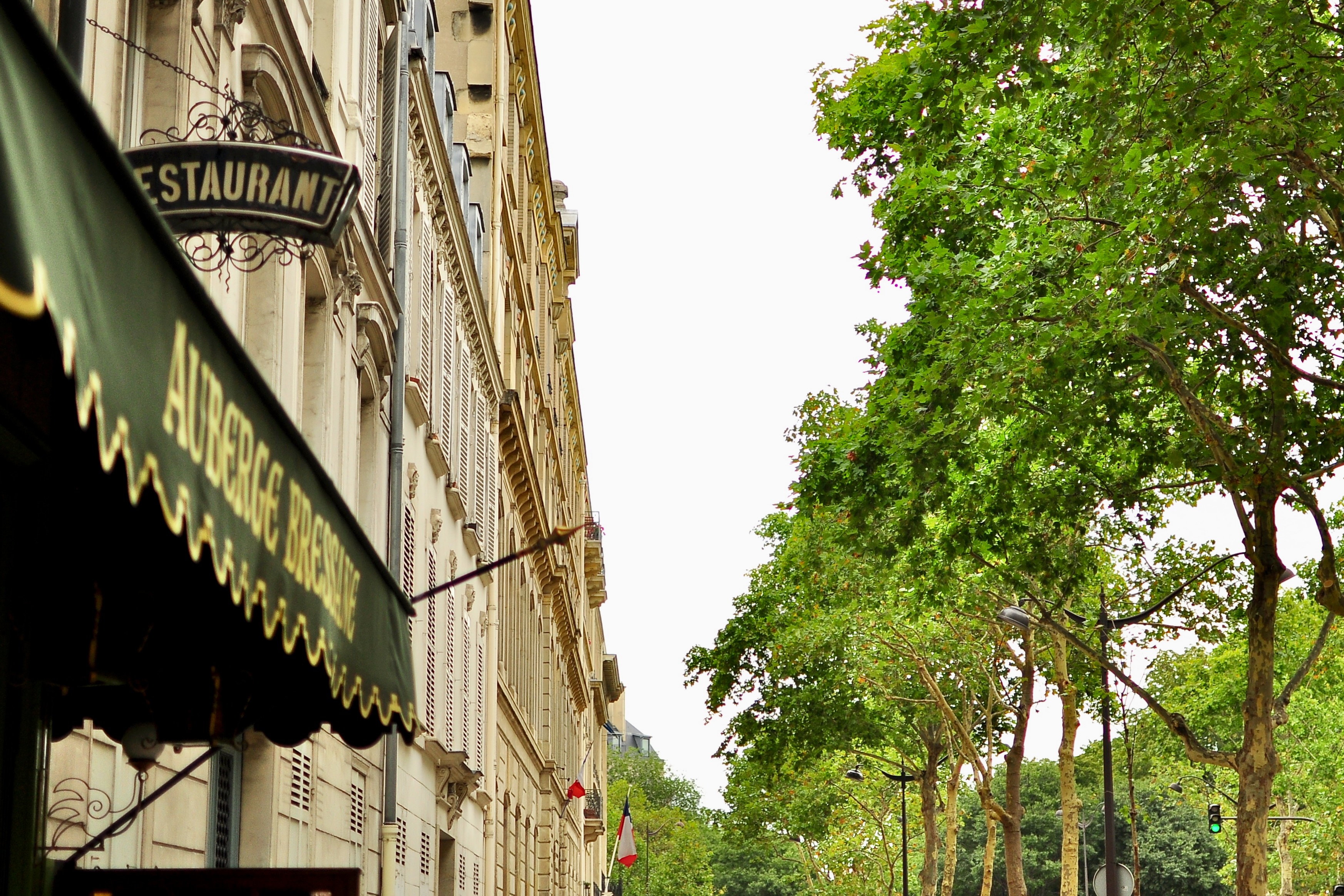 Landscape Image 5 of 12 from Paris 2012. Alberto Roura