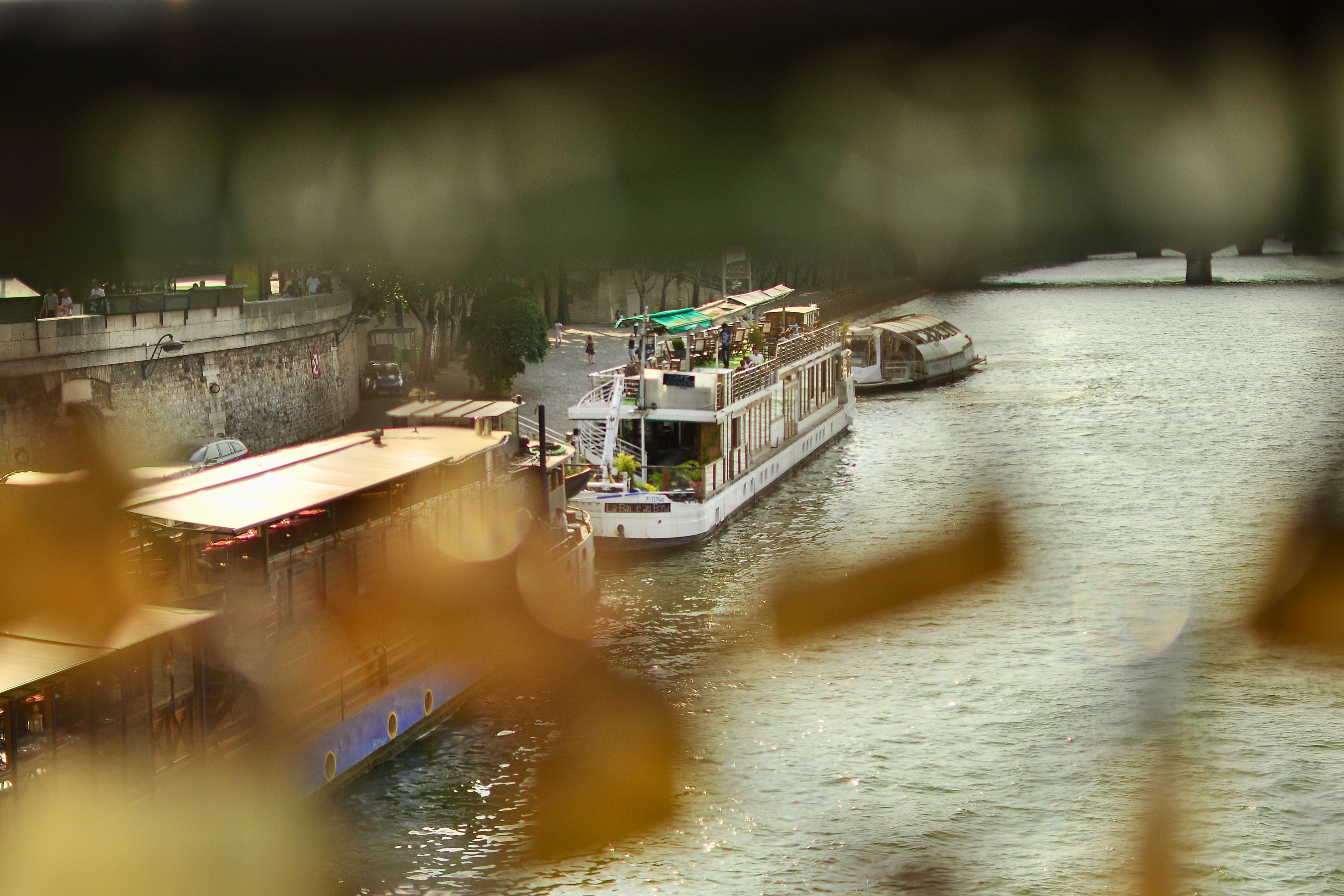 Landscape Image 7 of 12 from Paris 2012. Alberto Roura