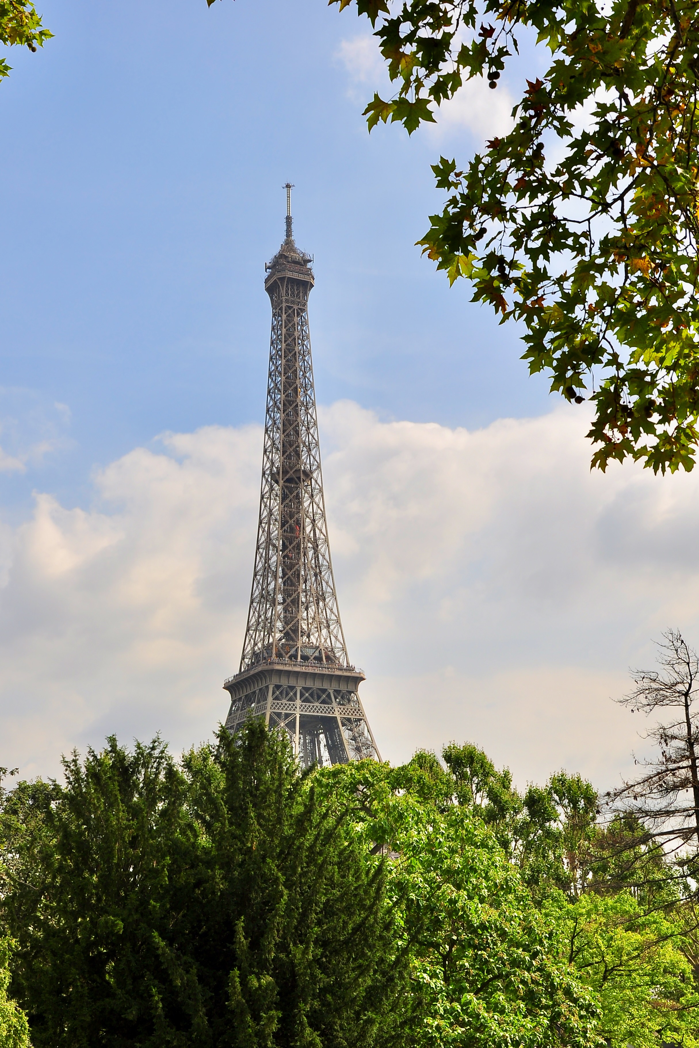 Portrait Image 2 of 12 from Paris 2012. Alberto Roura