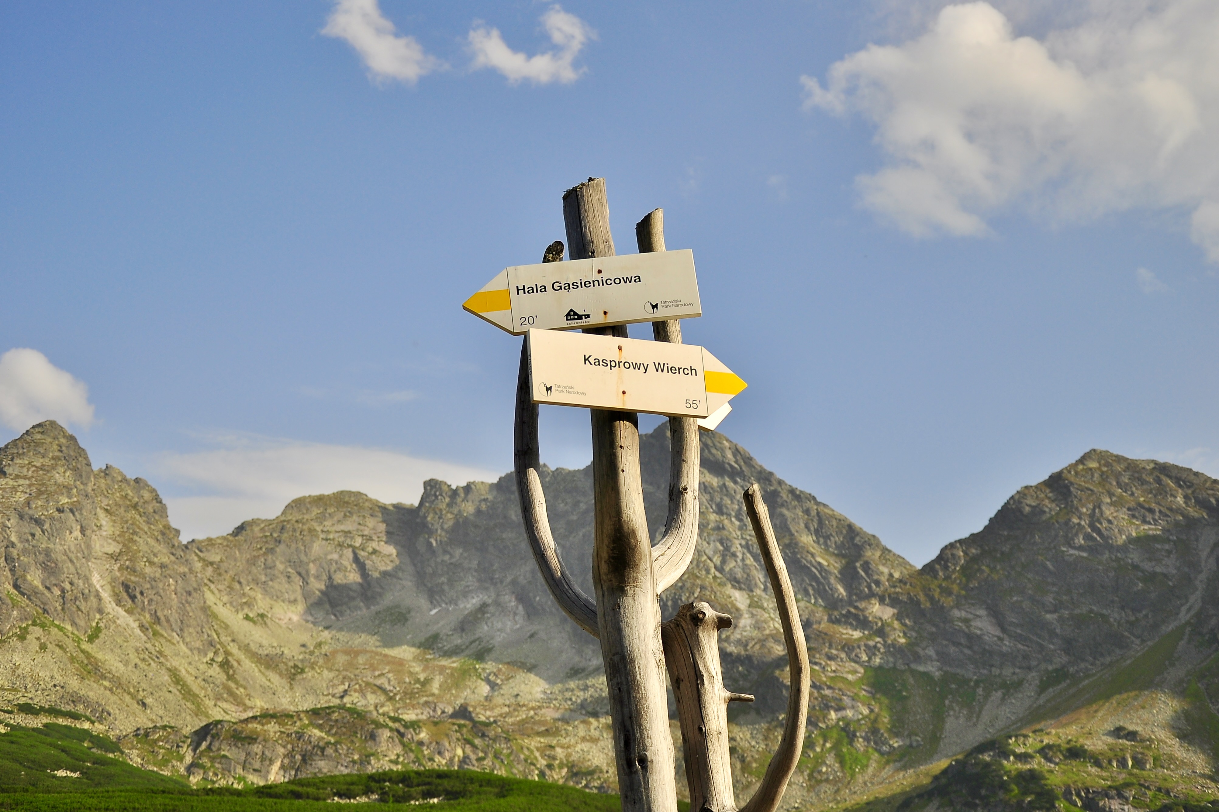 Landscape Image 14 of 30 from Poland 2012. Alberto Roura