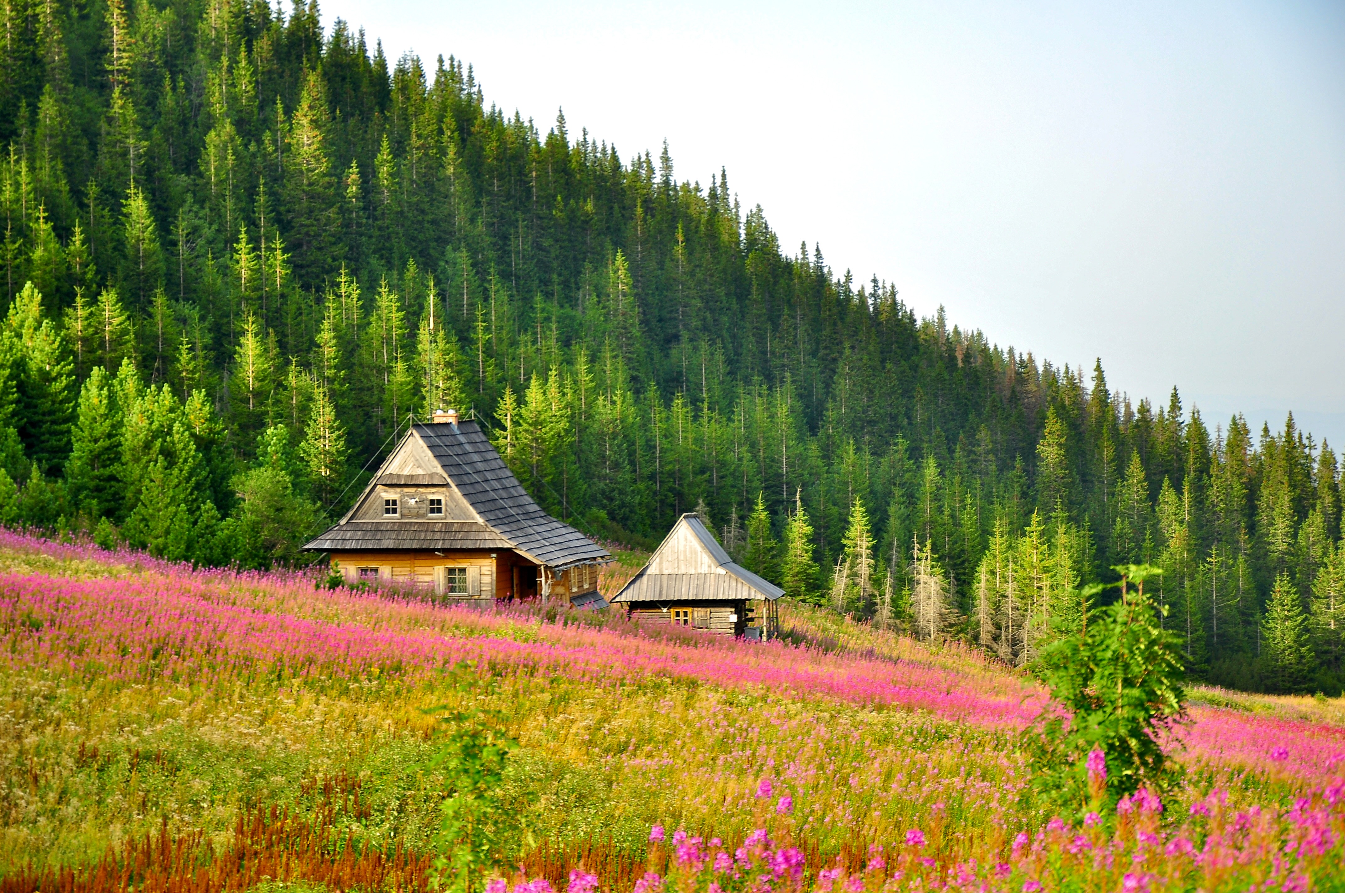 Landscape Image 15 of 30 from Poland 2012. Alberto Roura