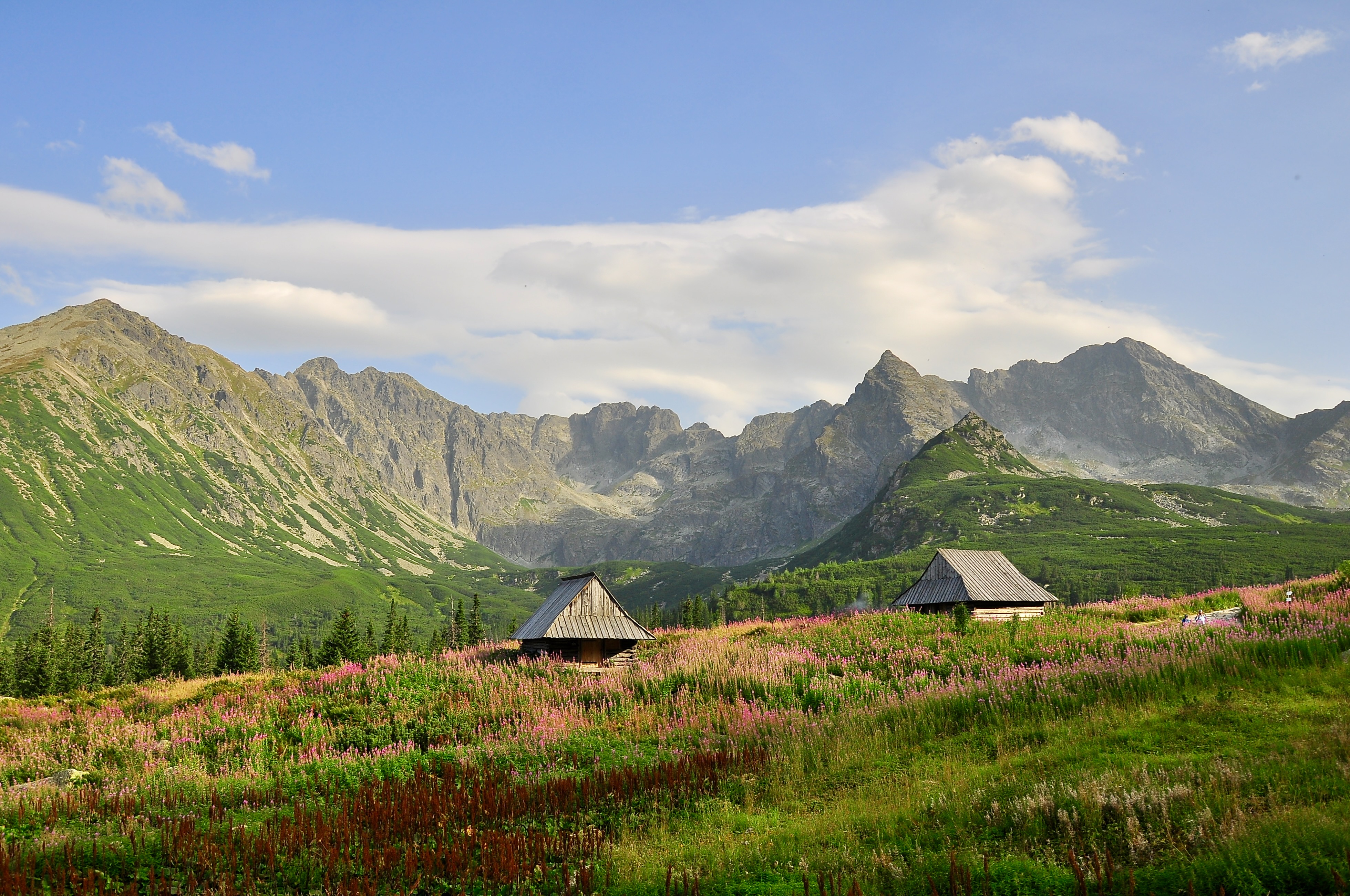 Landscape Image 16 of 30 from Poland 2012. Alberto Roura