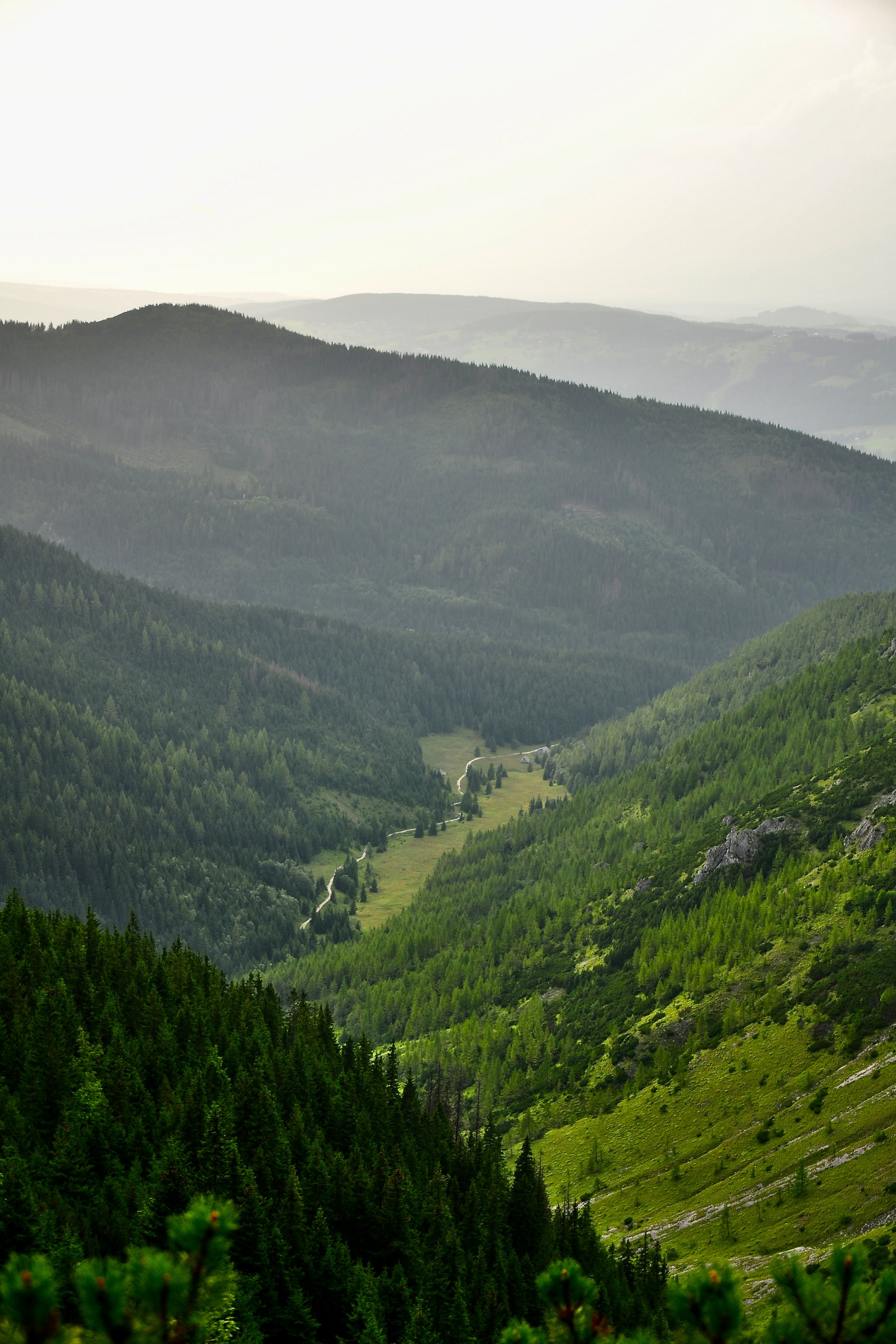 Portrait Image 16 of 30 from Poland 2012. Alberto Roura