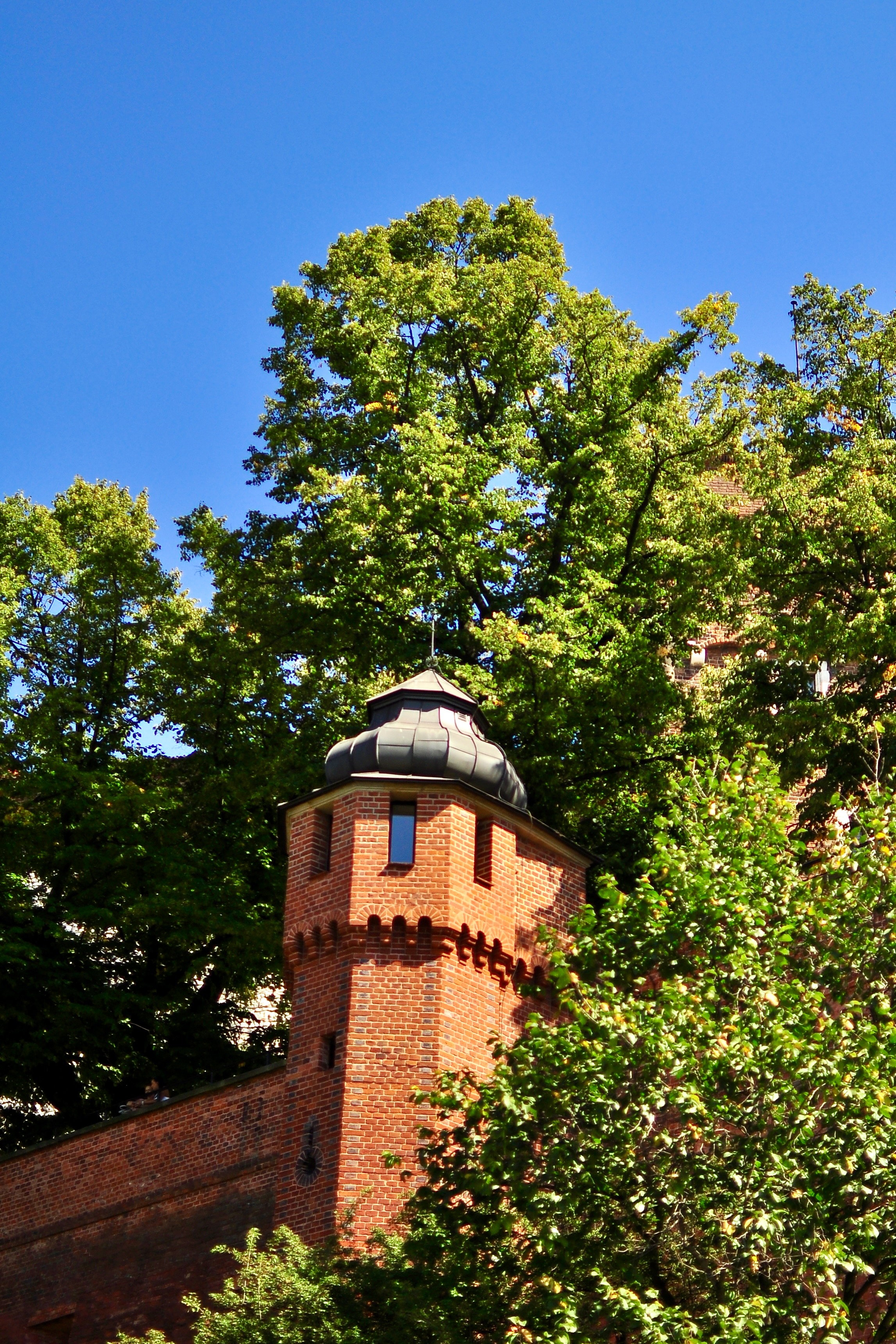 Portrait Image 25 of 30 from Poland 2012. Alberto Roura