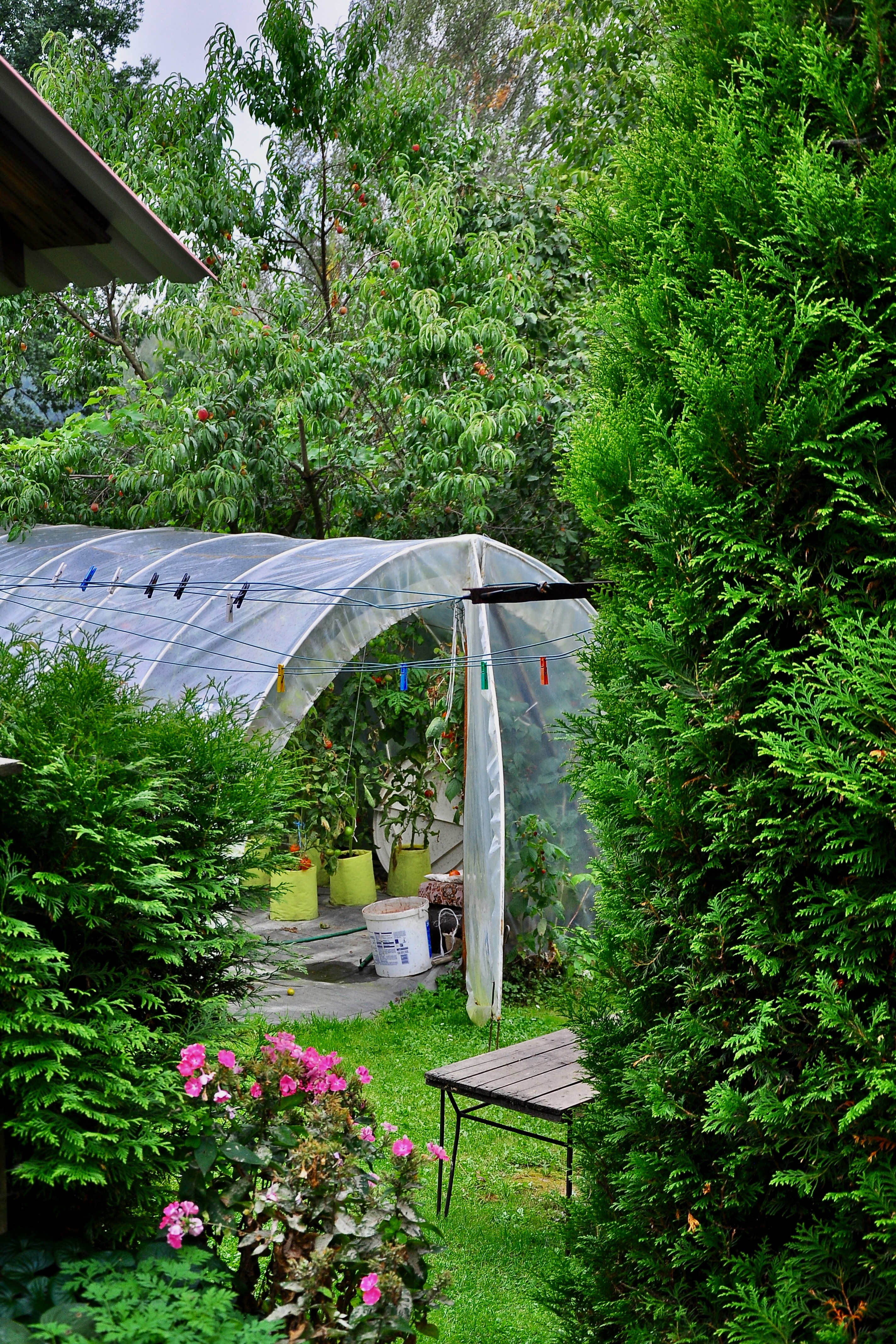 Portrait Image 29 of 30 from Poland 2012. Alberto Roura