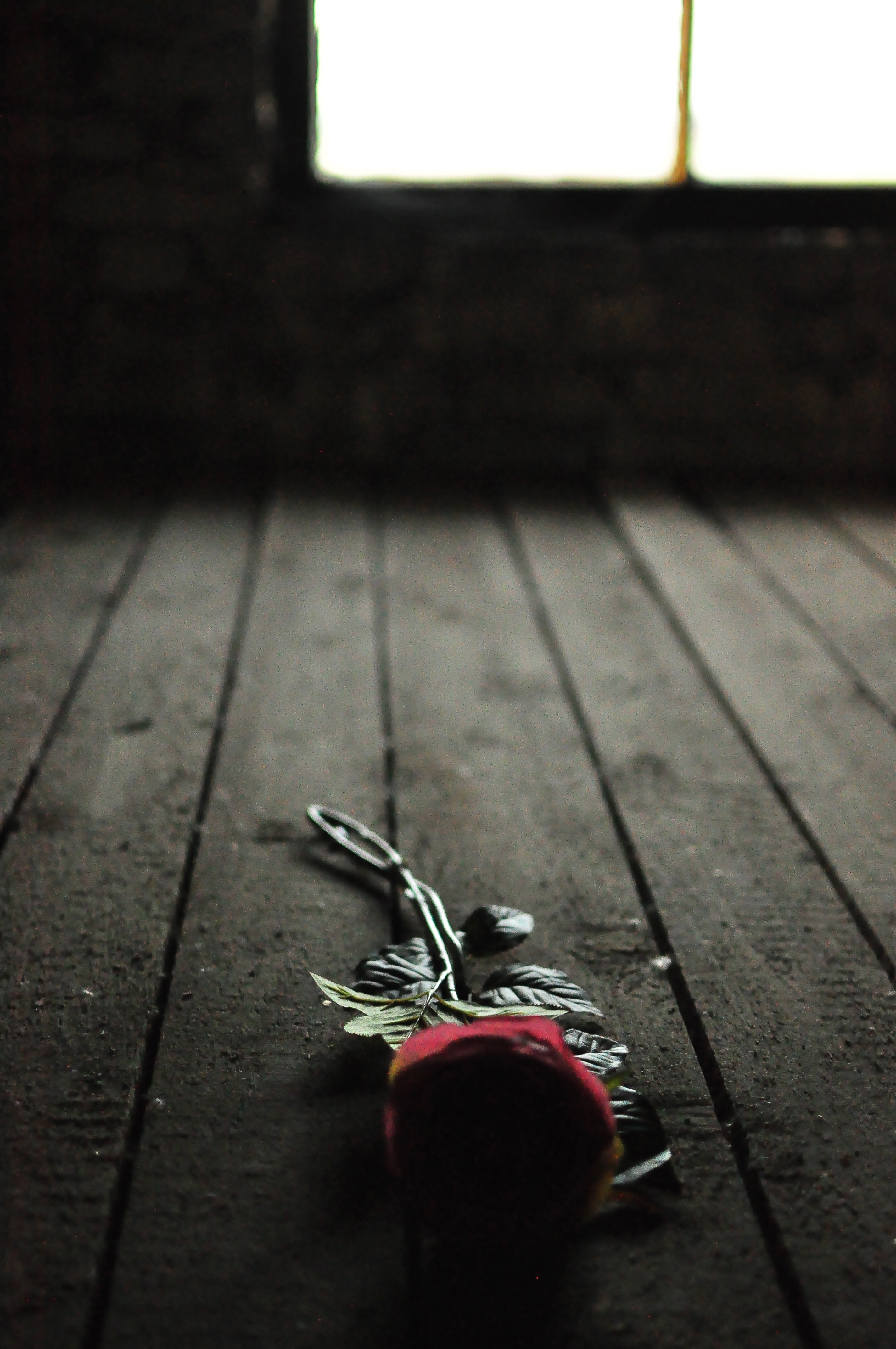 Portrait Image 7 of 30 from Poland 2012. Alberto Roura