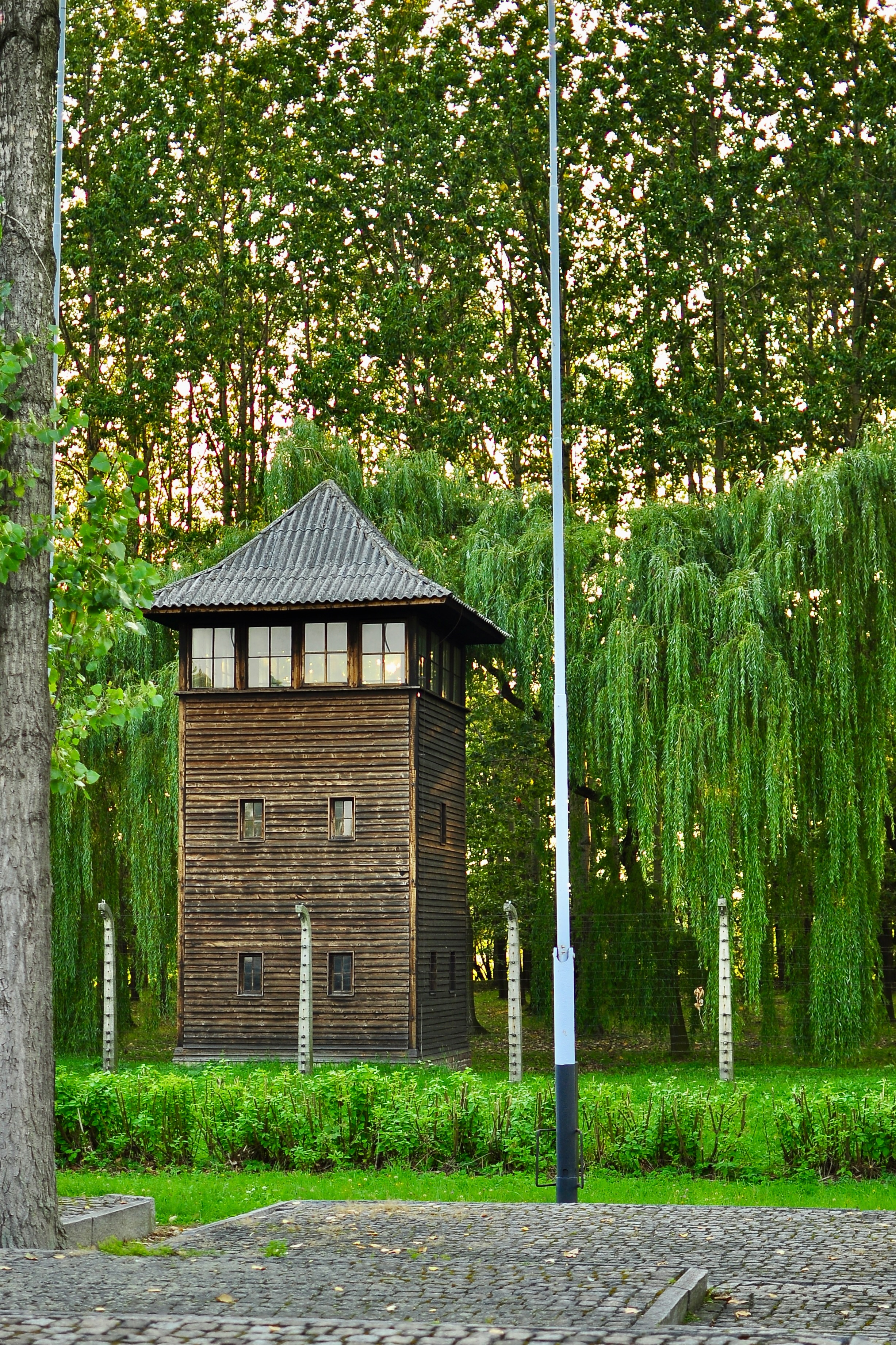 Portrait Image 8 of 30 from Poland 2012. Alberto Roura